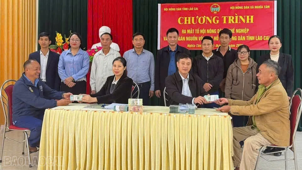 baolaocai-bl_anh-4444.jpg