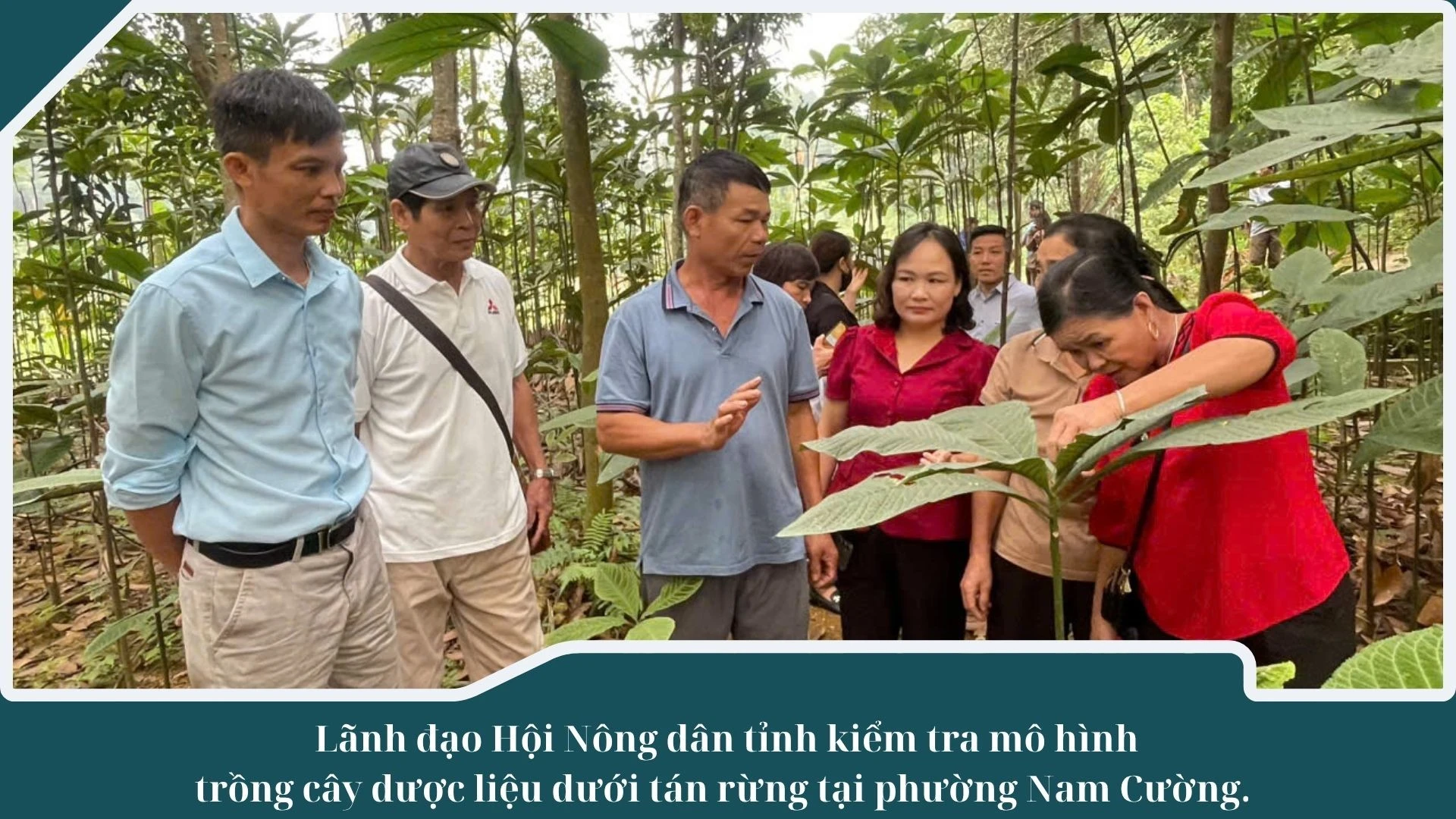 anh-nd.jpg
