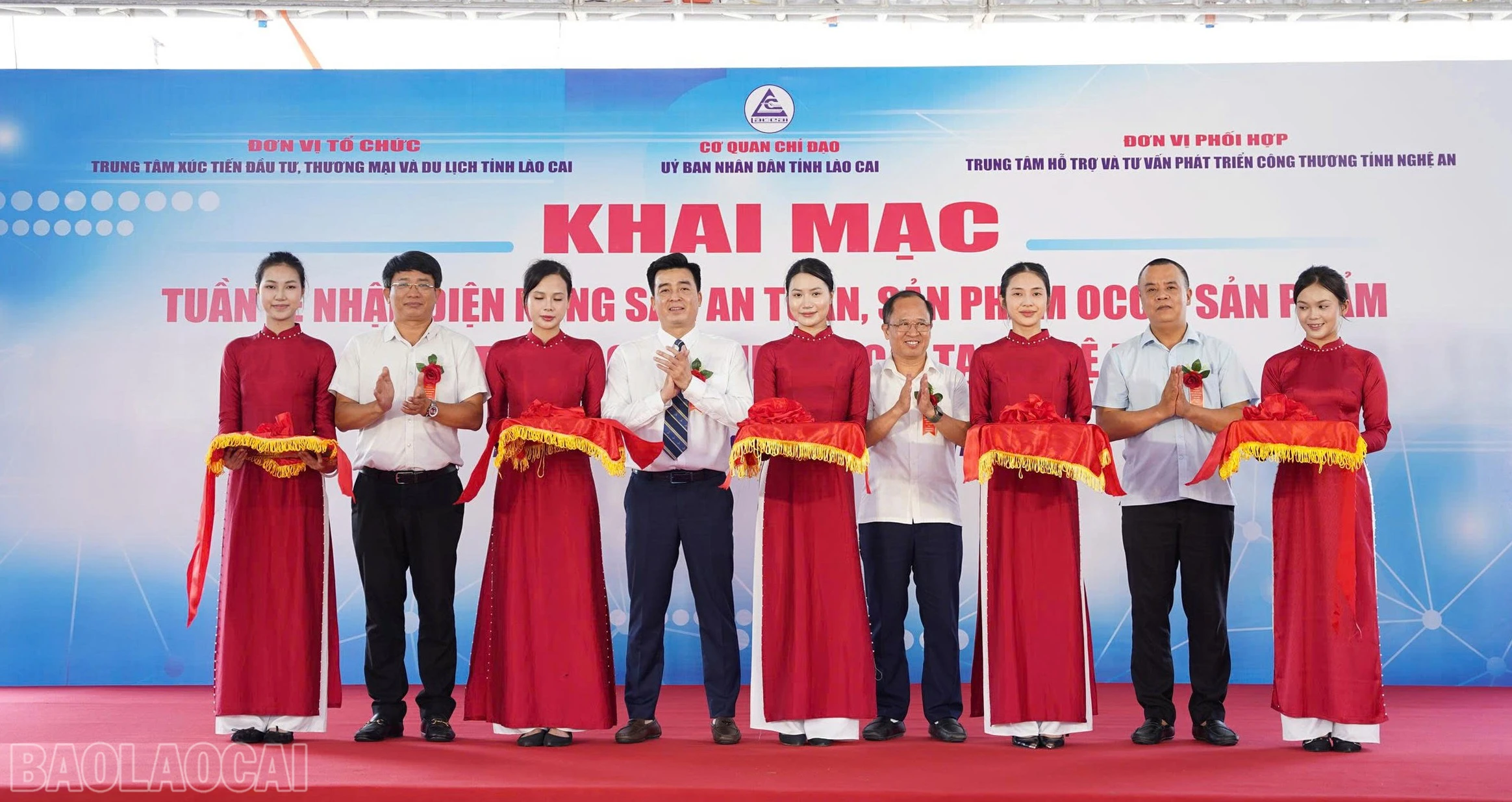 baolaocai-bl_anh-33.jpg