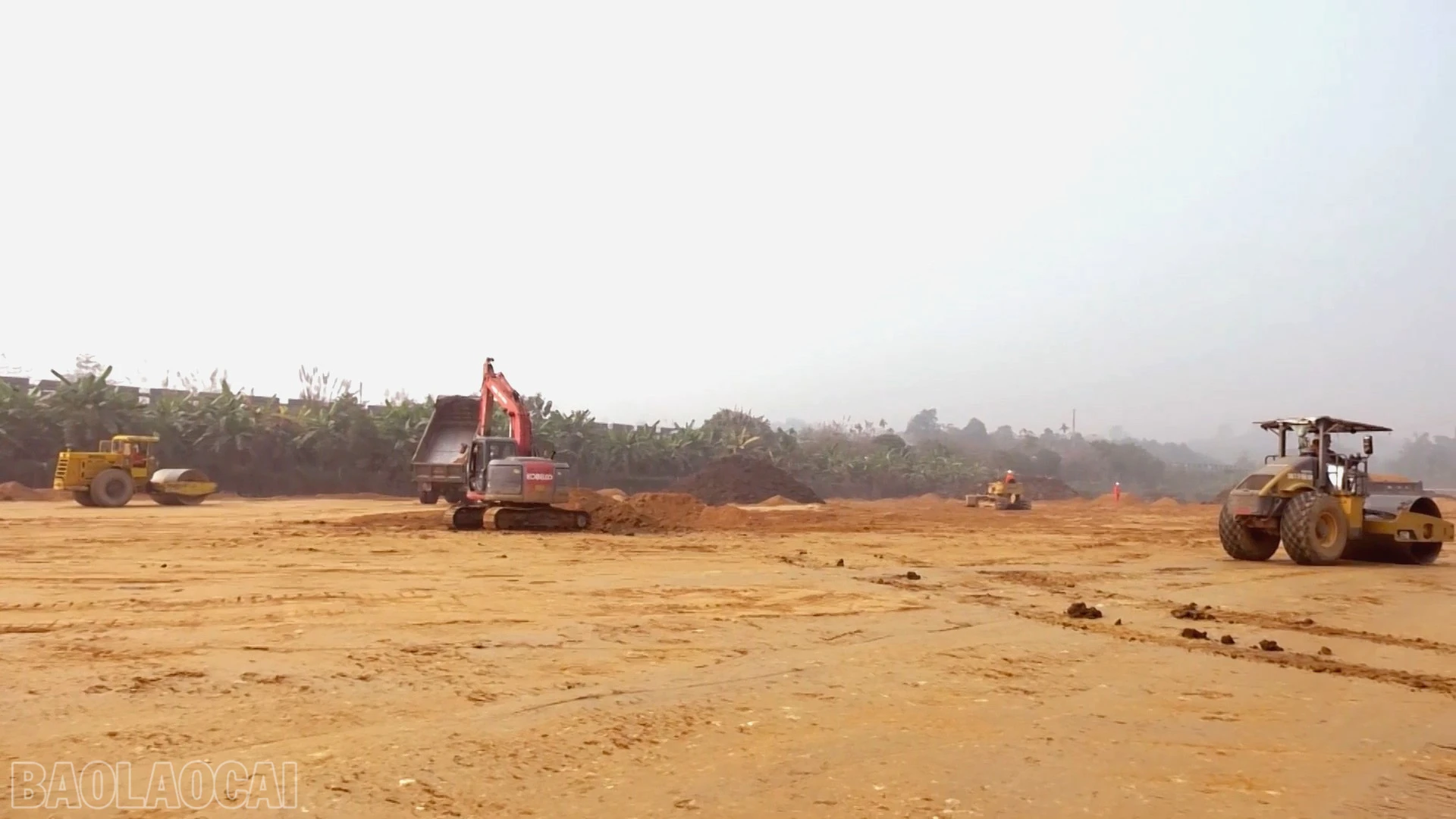 baolaocai-bl_anh-11quymong.jpg