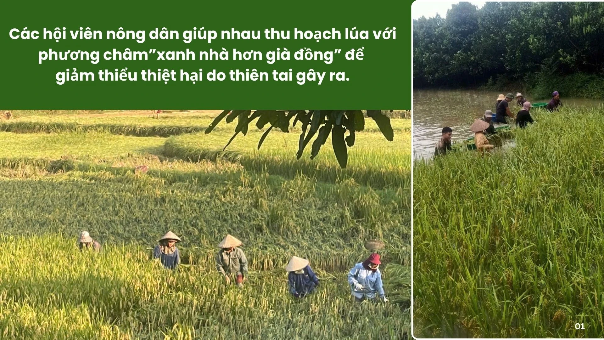 anh-nong-dan-11.jpg