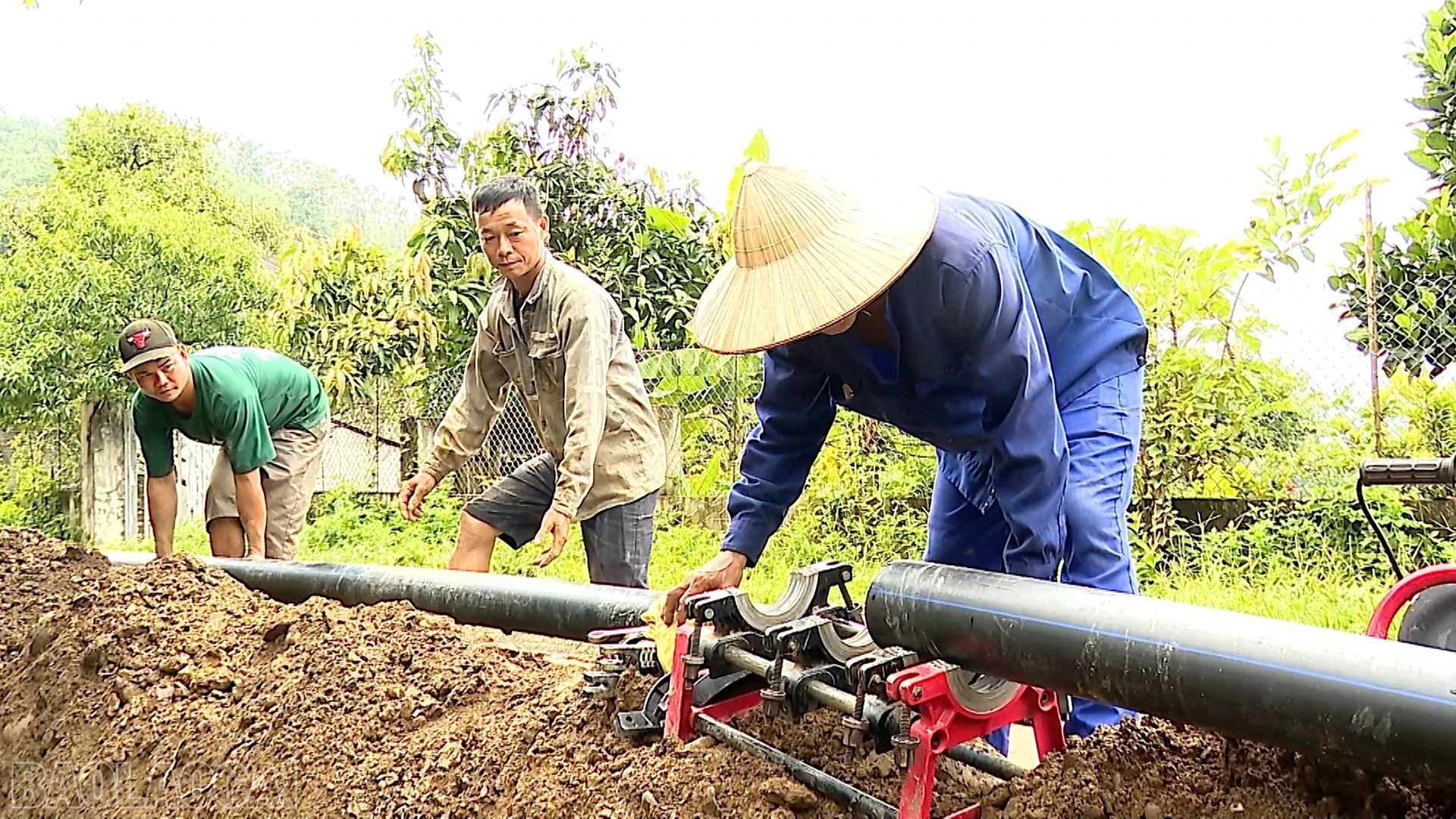 baolaocai-bl_anh-ntm-7.jpg