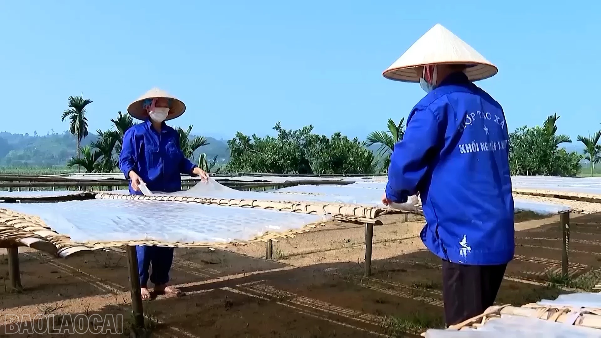 baolaocai-bl_anh-ntm-14.jpg