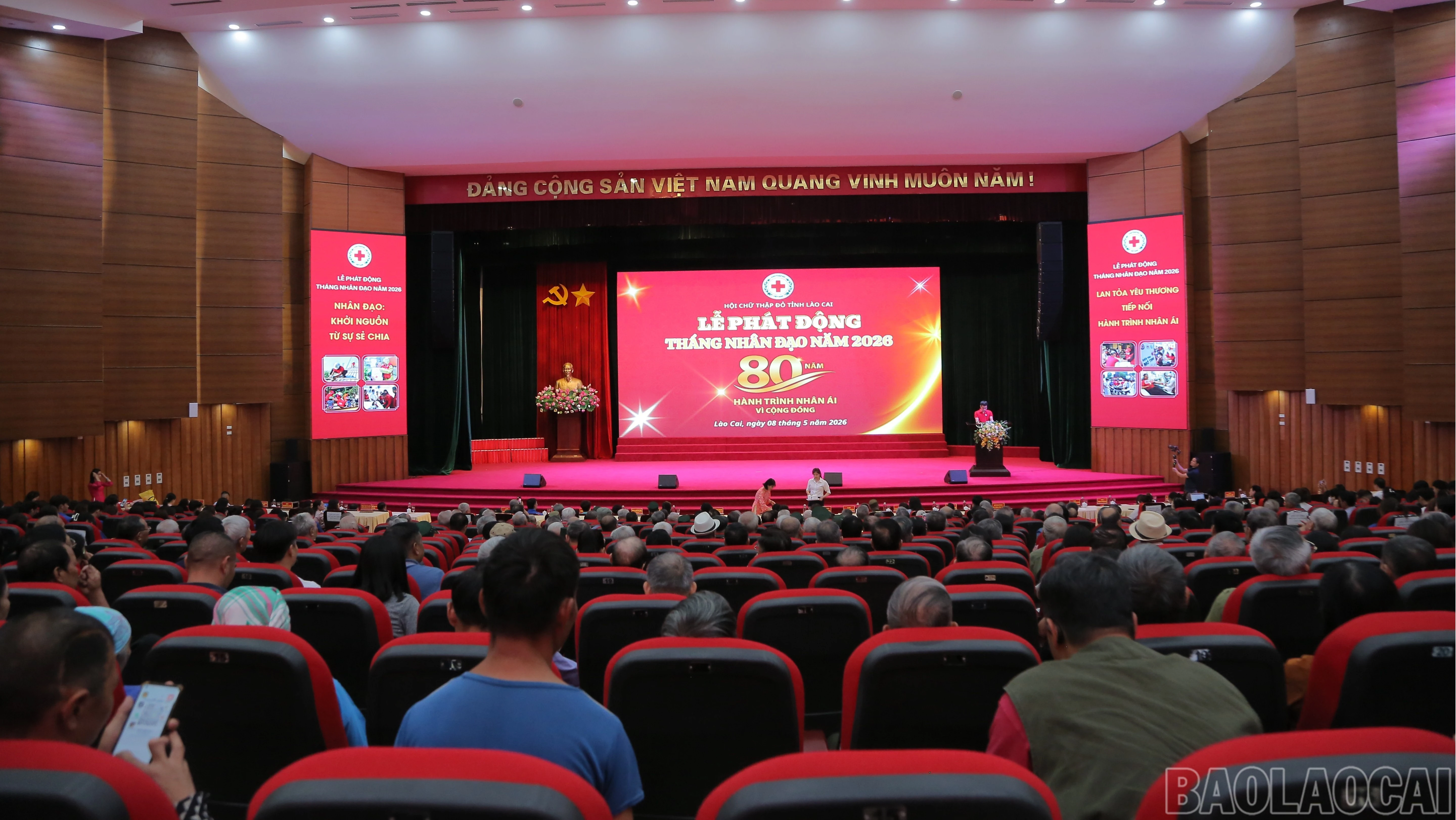 ctd-8881.jpg