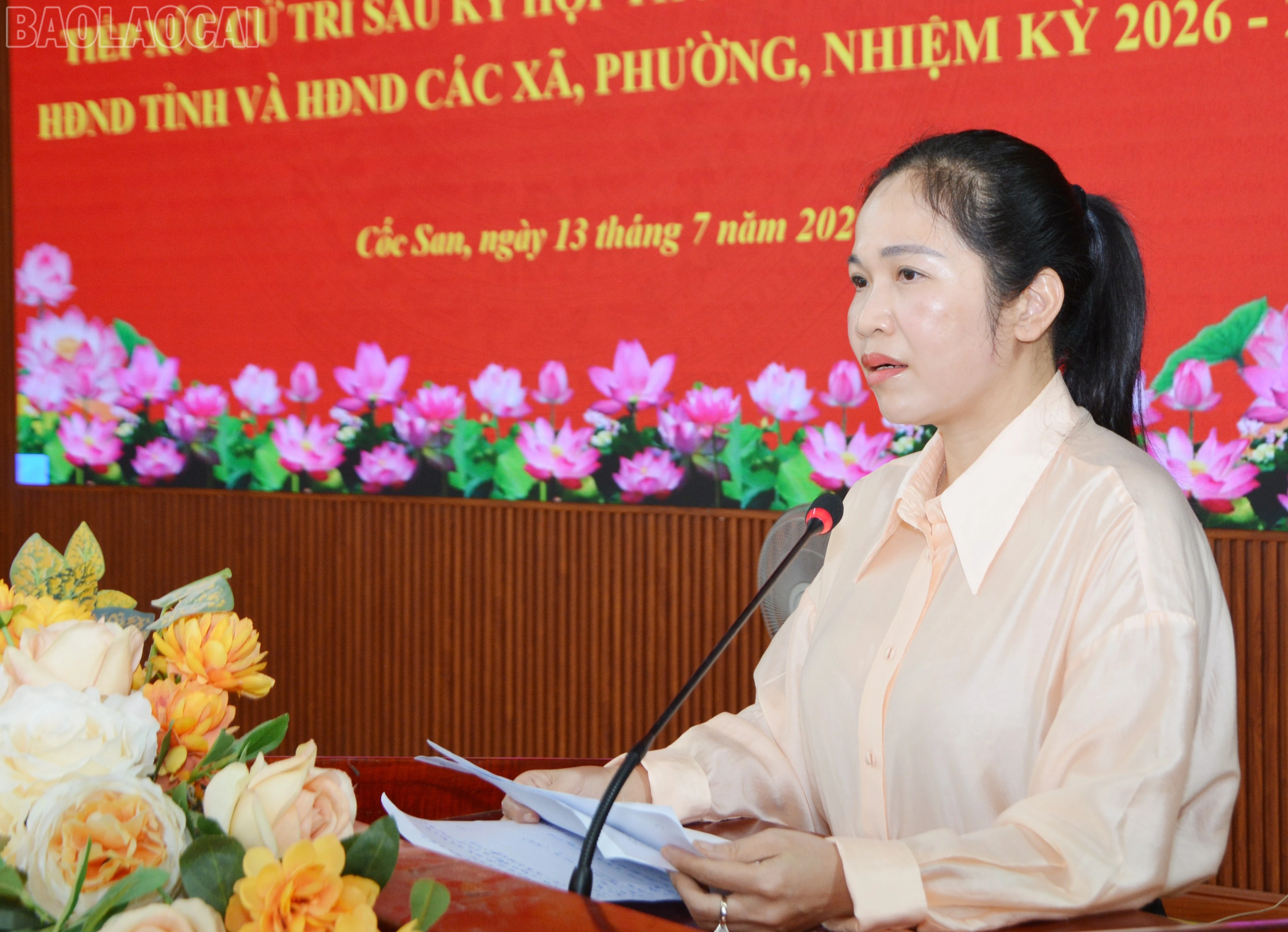 baolaocai-tl_tl-dsc-3535.jpg