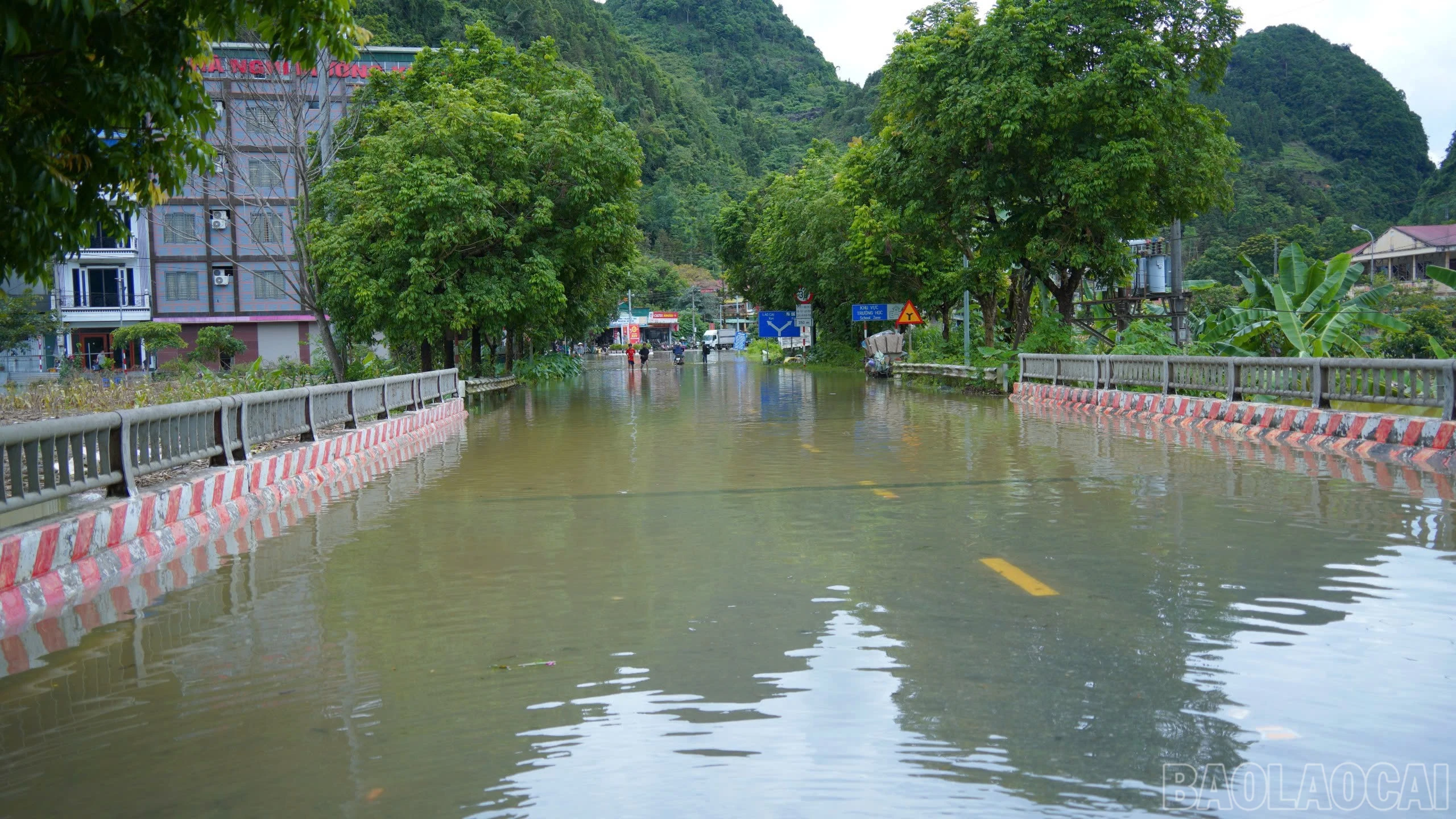 baolaocai-br_ngapsau-2.jpg