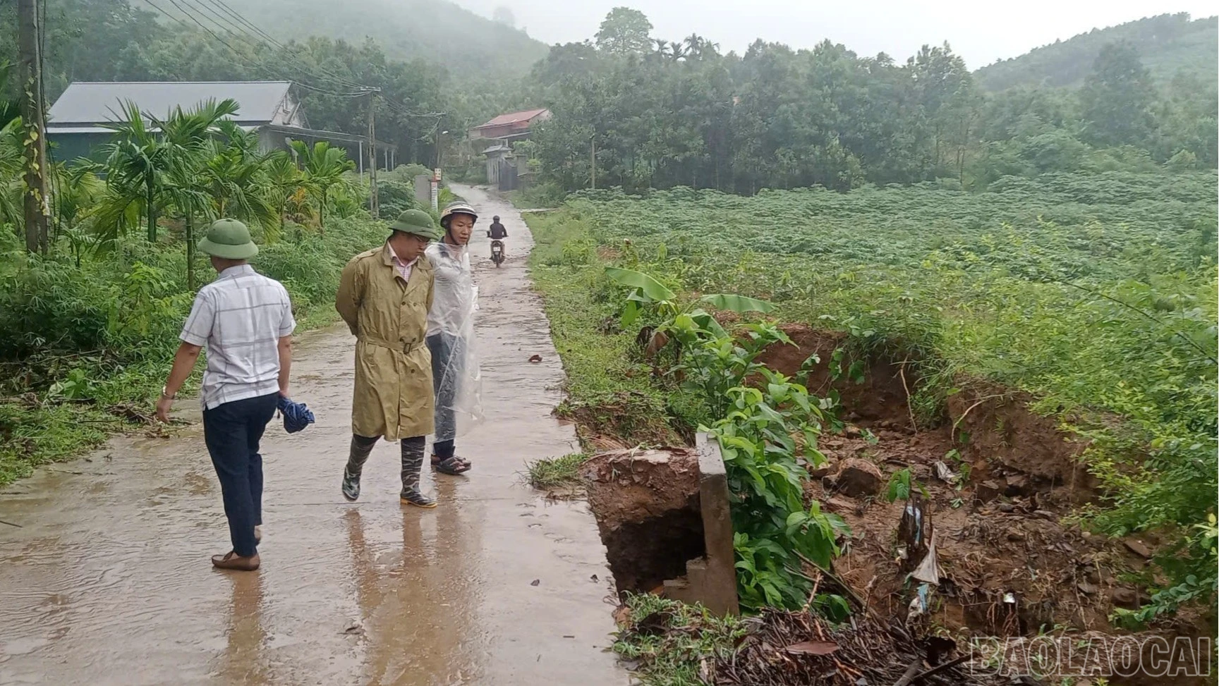 baolaocai-br_cuacong-5316.jpg