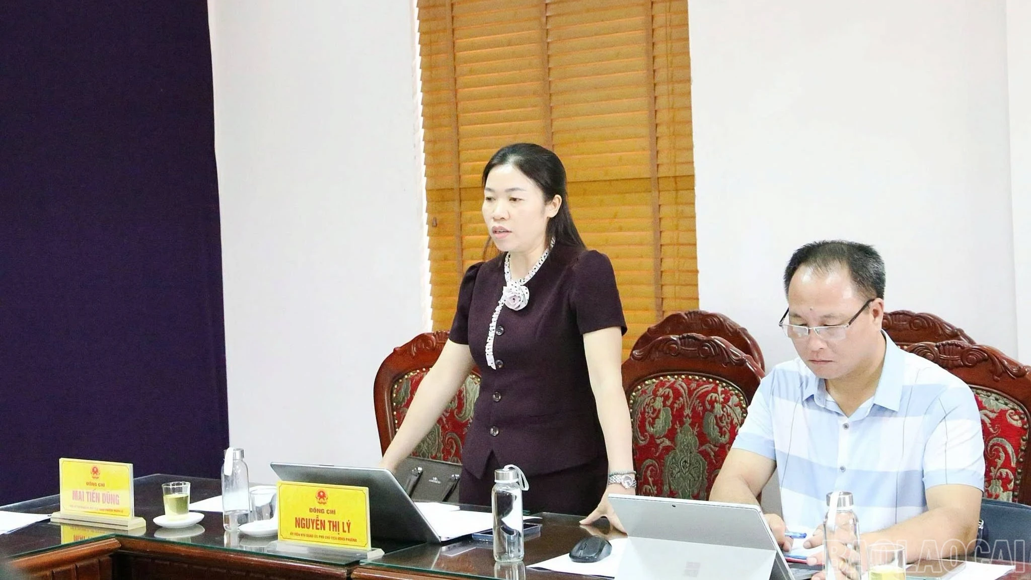 baolaocai-br_lanhdaophuong1-8701.jpg