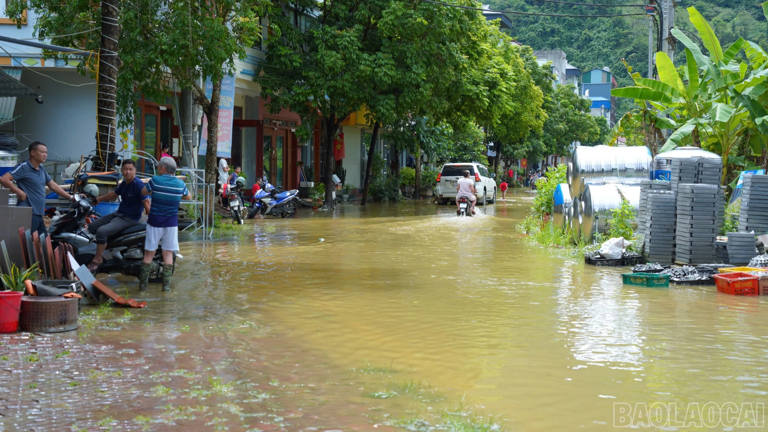 baolaocai-br_ngapsau-1.jpg