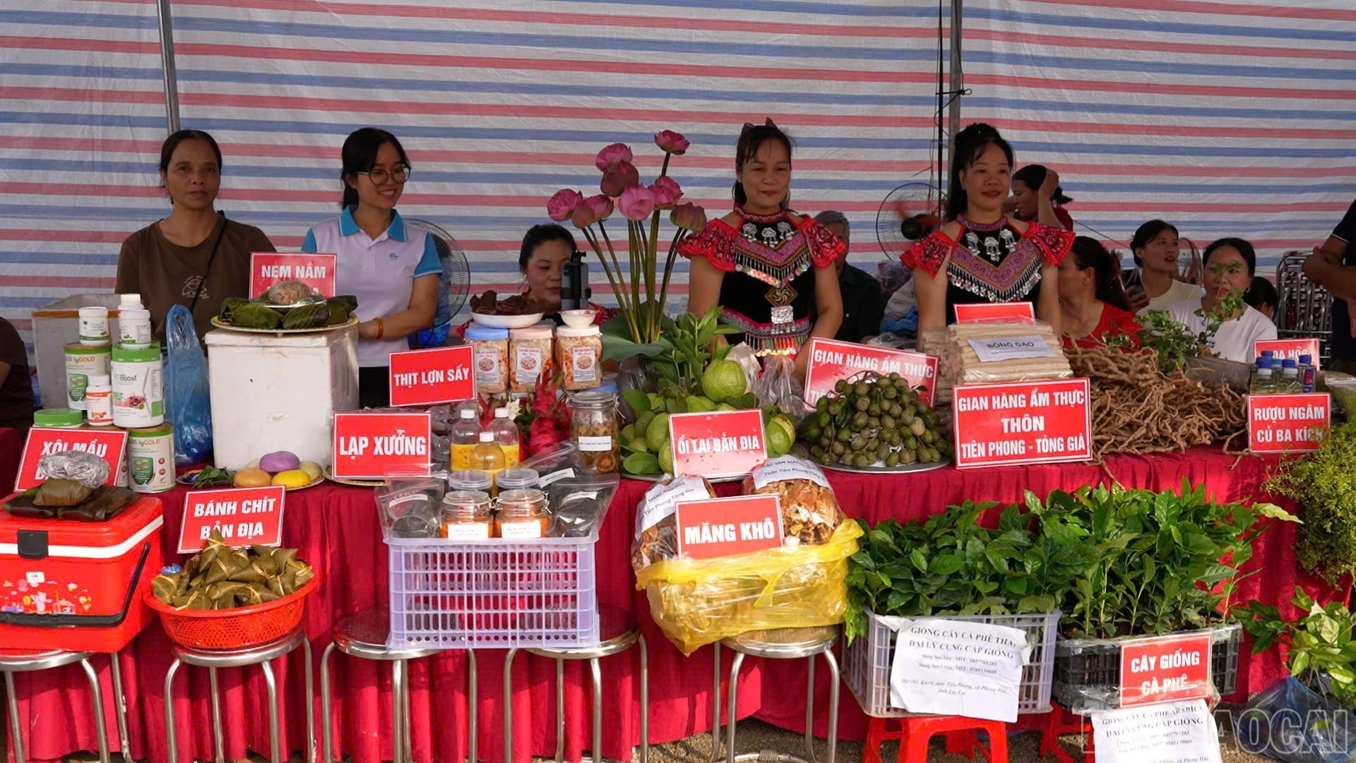 baolaocai-br_trungbay-4549.jpg