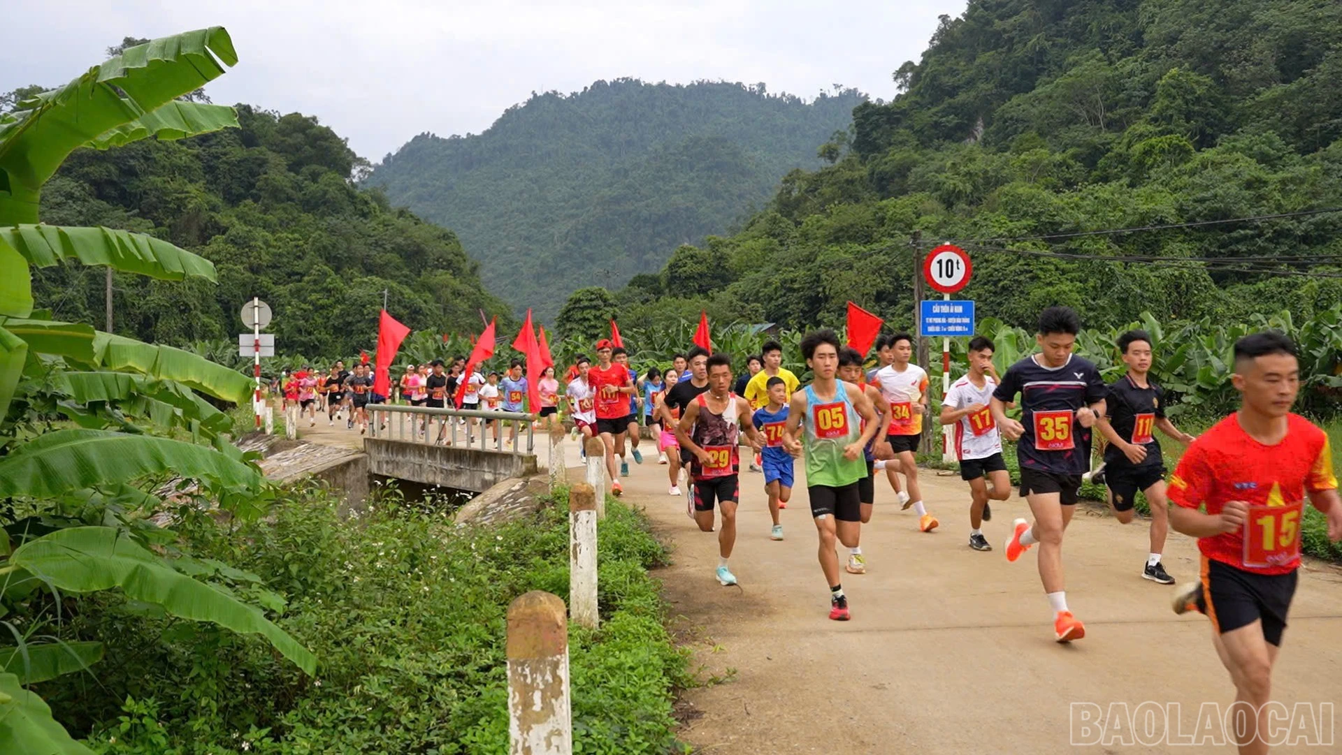 baolaocai-br_tranhtai-2624.jpg