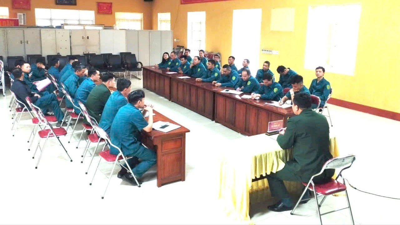 nvqs3-6388.jpg