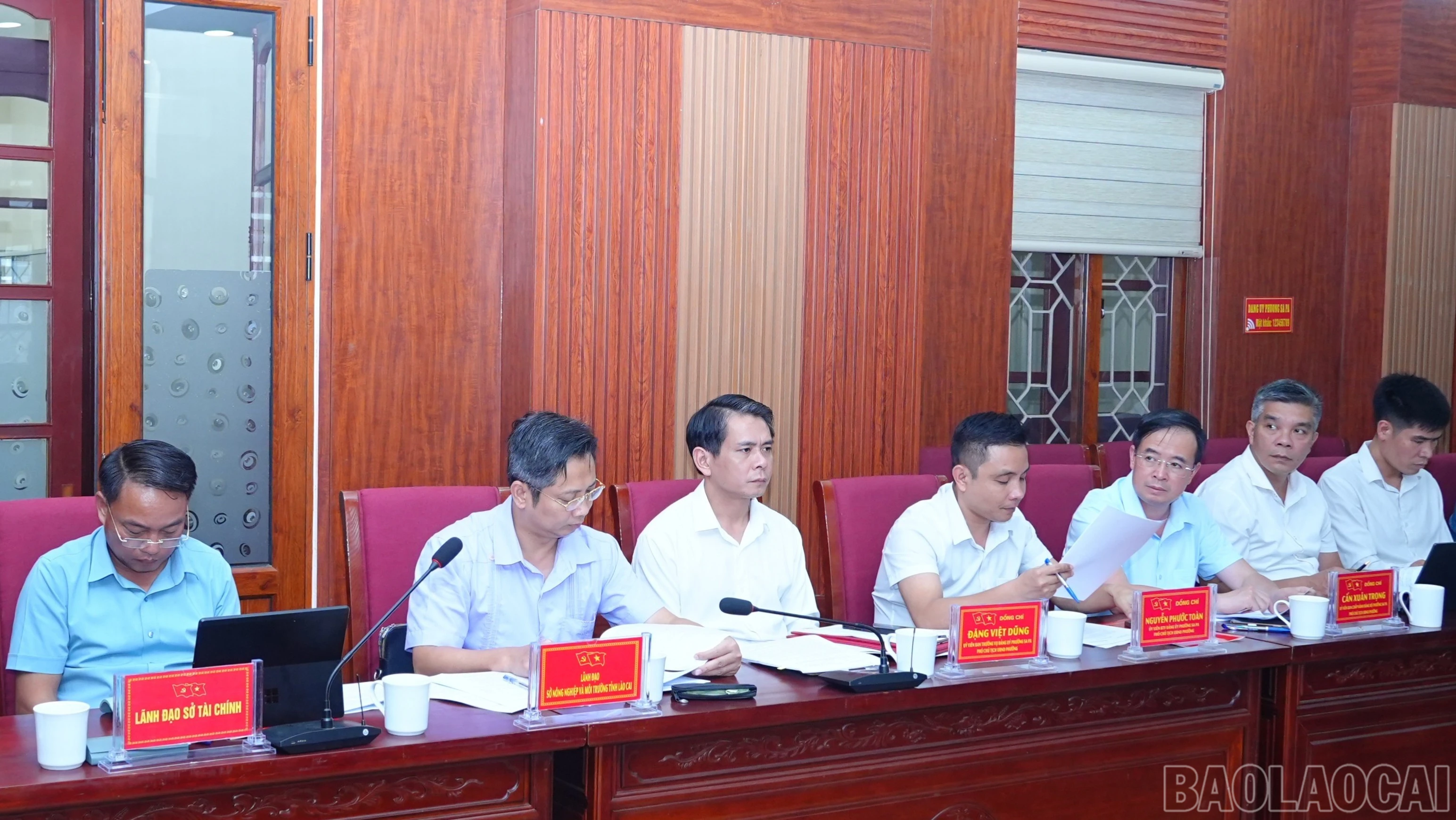 baolaocai-br_br-dsc03377.jpg
