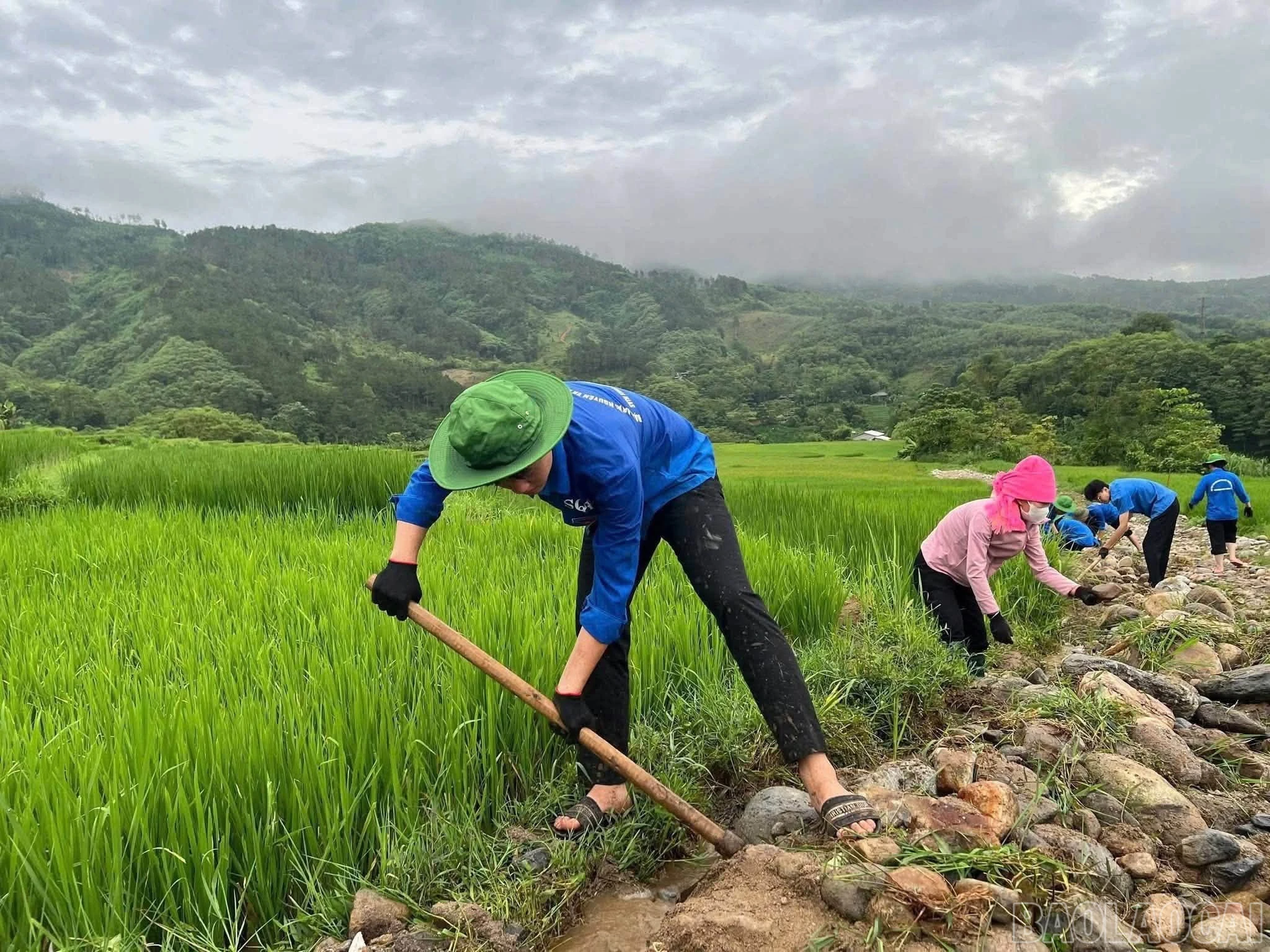 baolaocai-br_kenhmuong-2.jpg