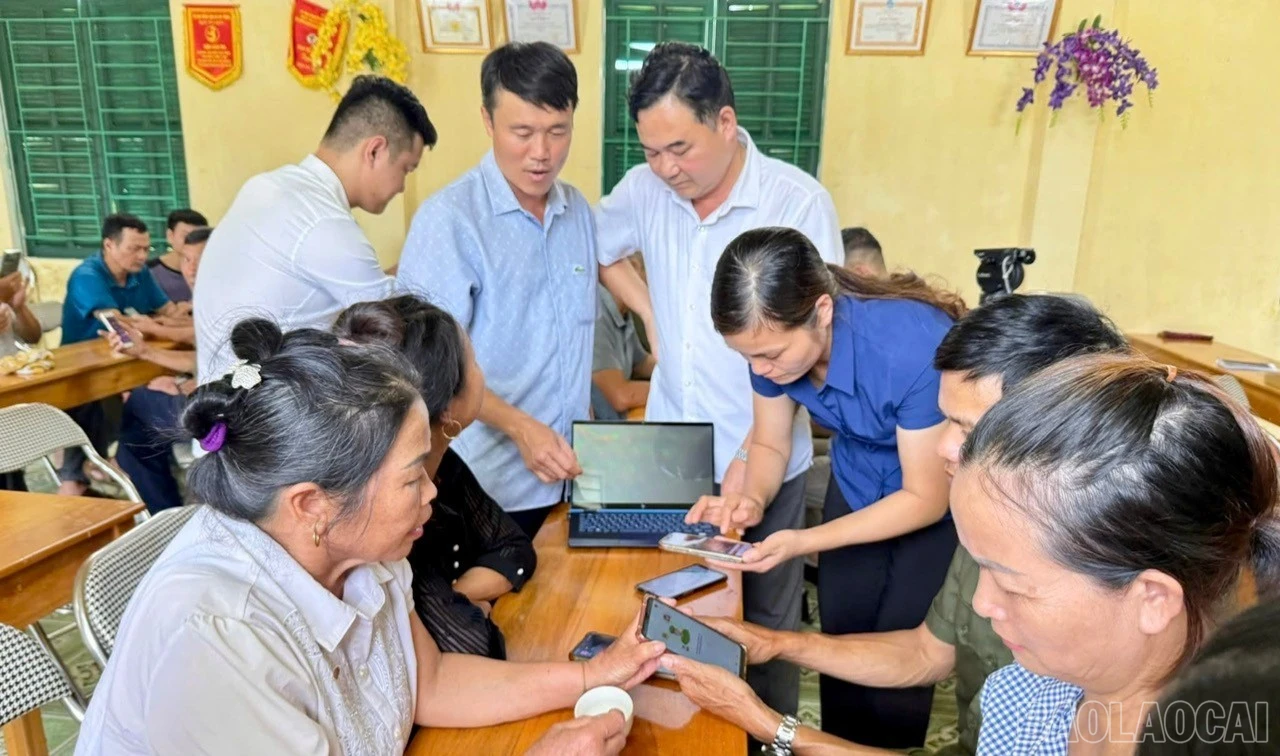 baolaocai-br_catthinh-9768.jpg