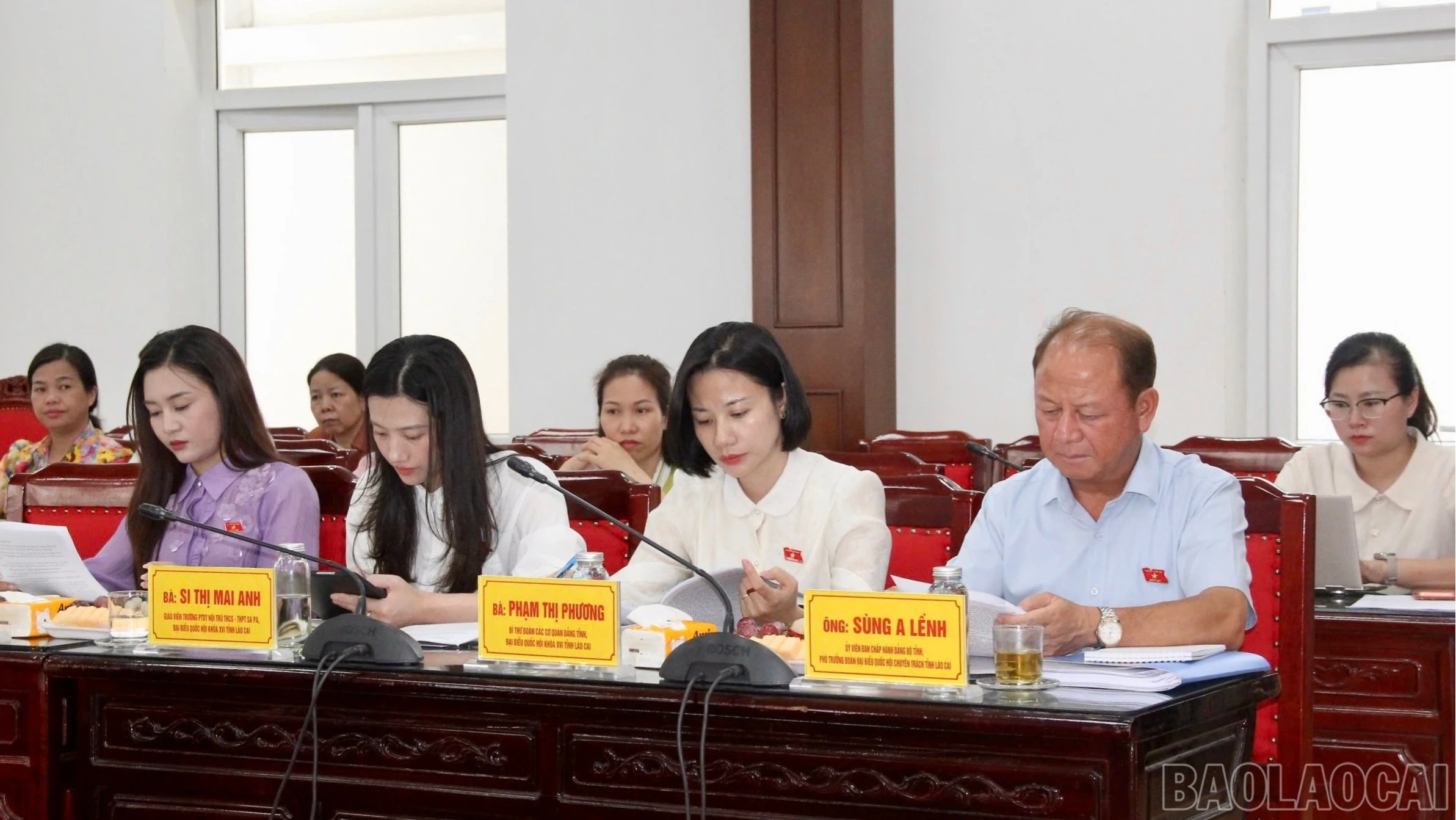 baolaocai-br_br-img-5605.jpg