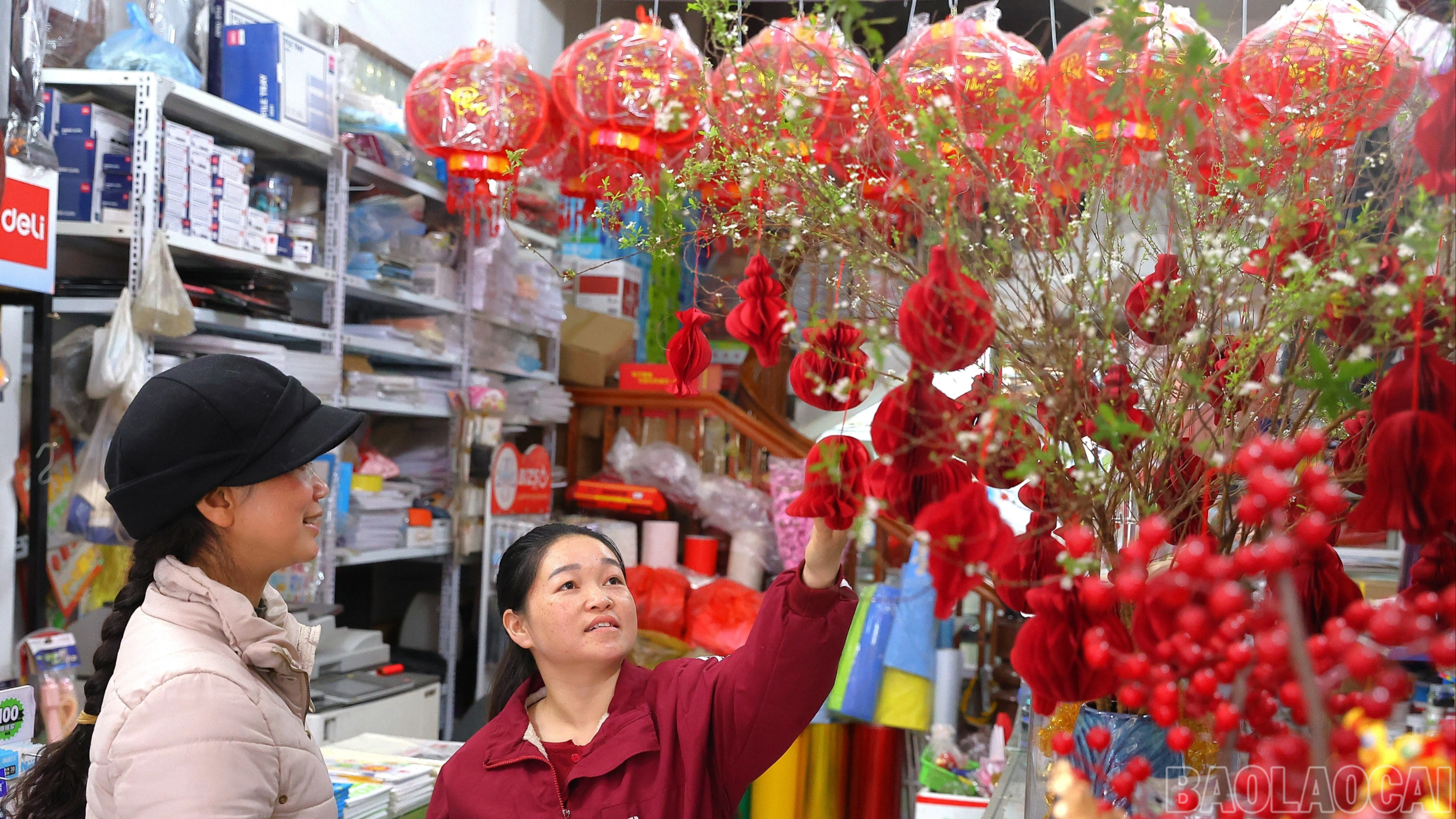 baolaocai-br_br-img-6714.jpg