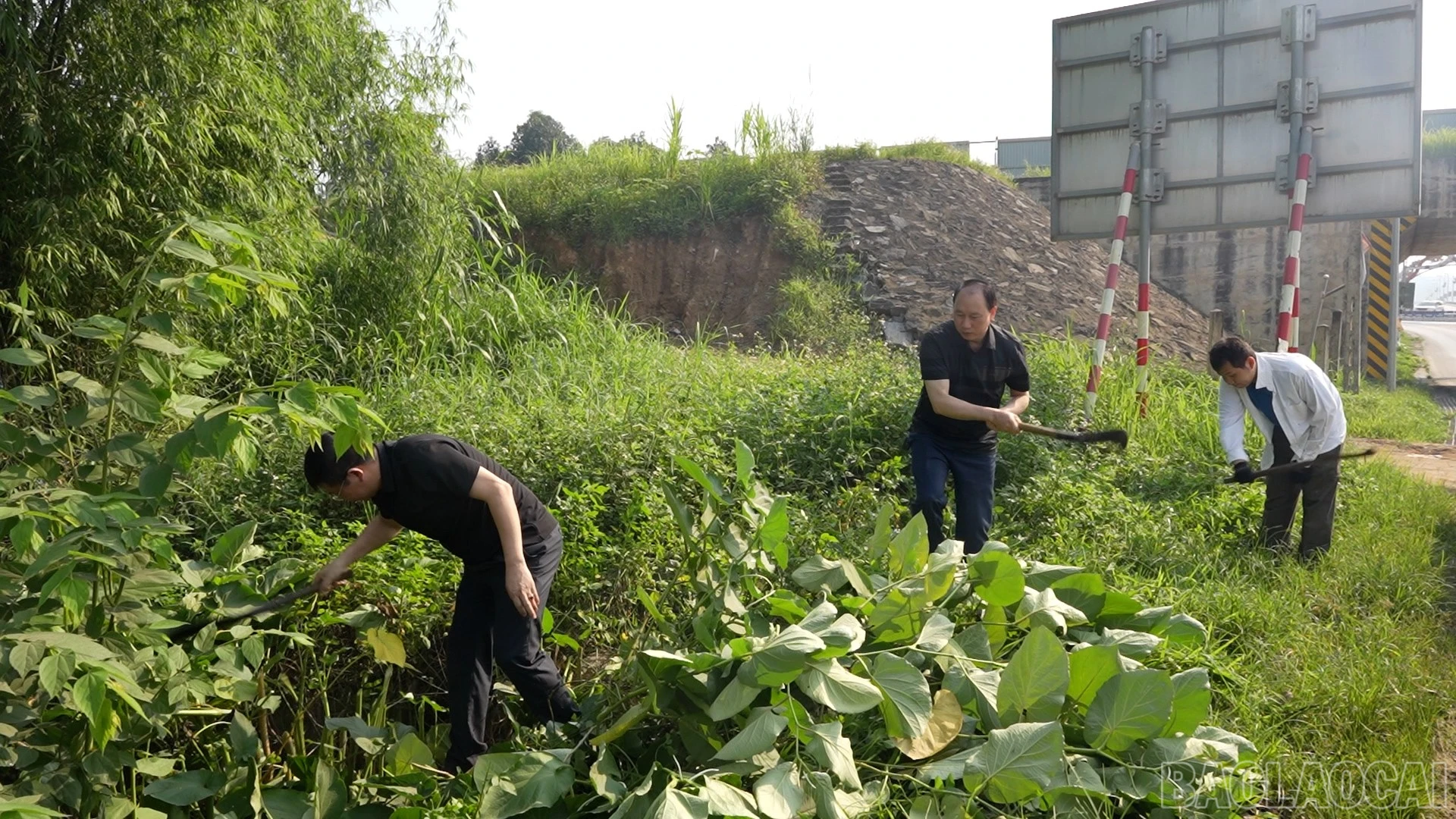 baolaocai-br_lanhdaoxa-2.jpg