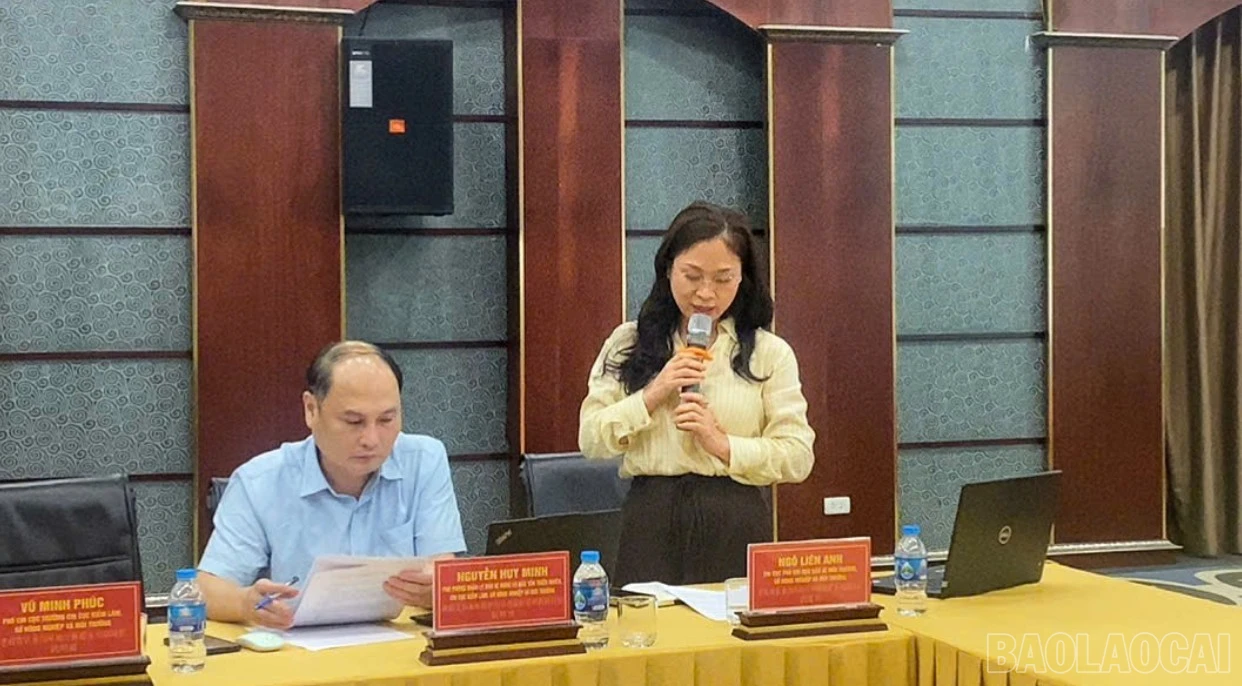 baolaocai-br_z8020511252245-07f8267dbf8660c2d945d4fdd712fe94.jpg