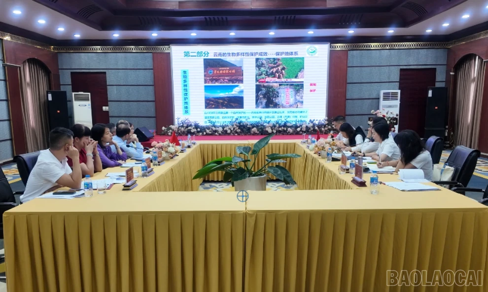 baolaocai-br-2026-07-08-140514.png
