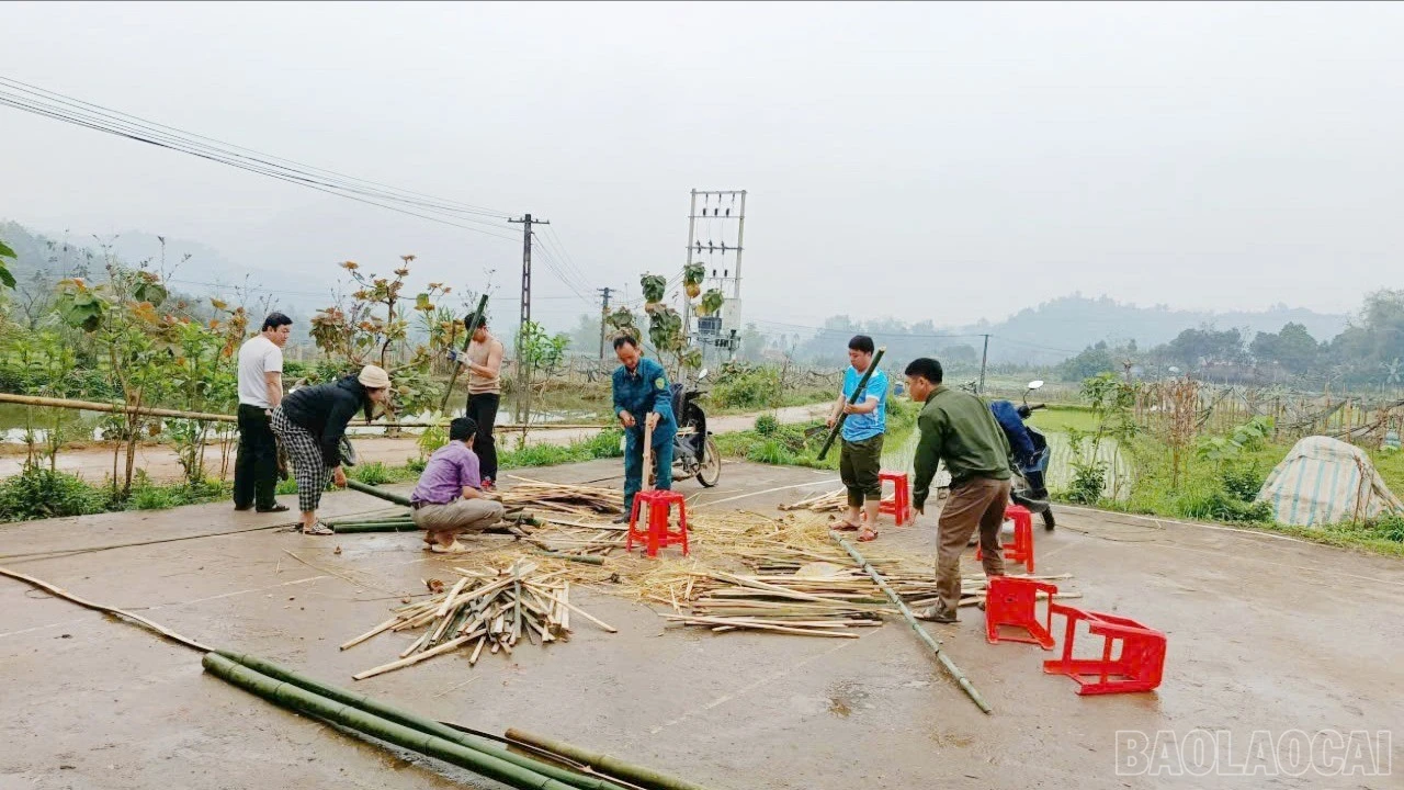 baolaocai-br-c-1.jpg