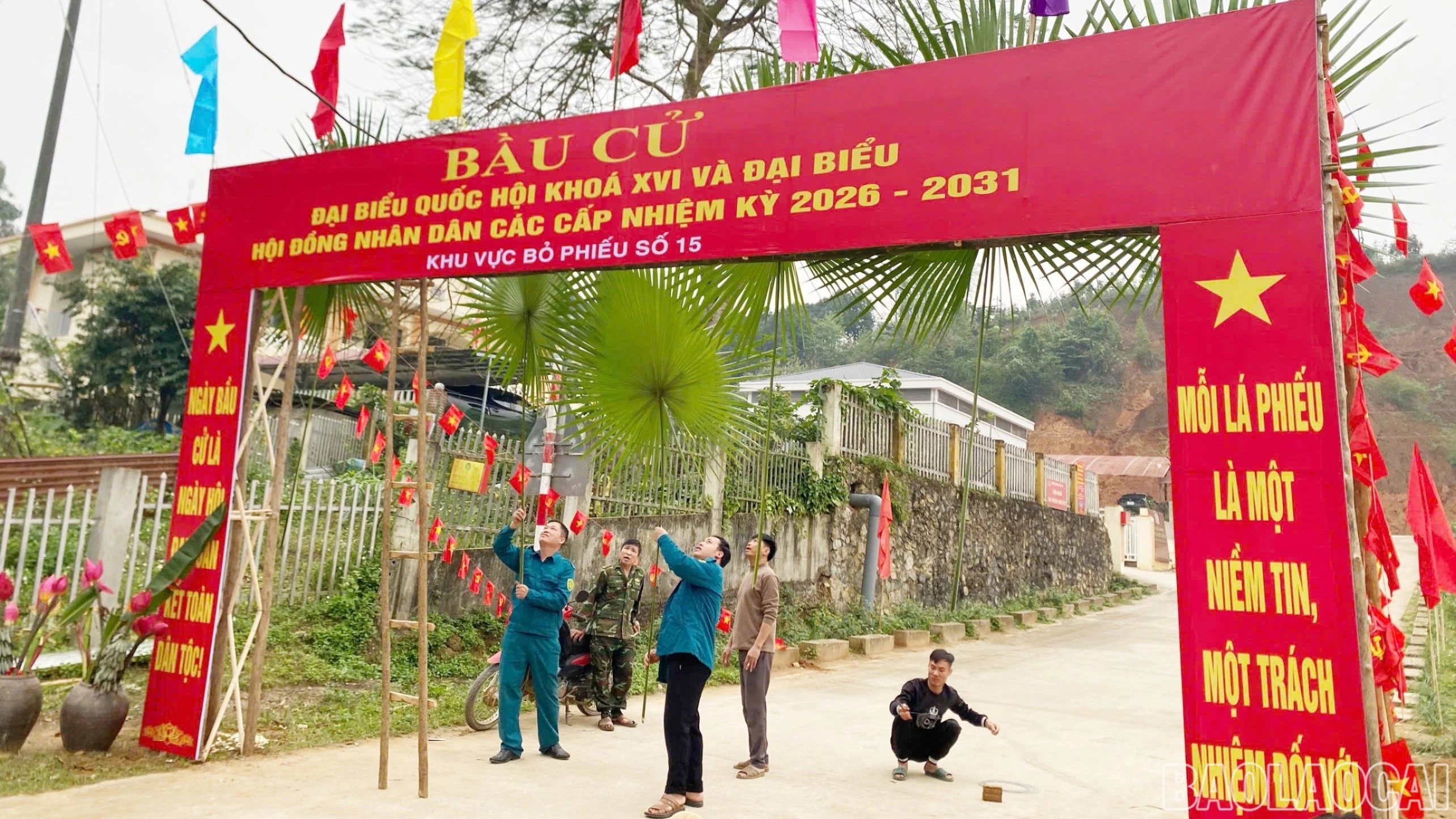 baolaocai-br-c-7.jpg