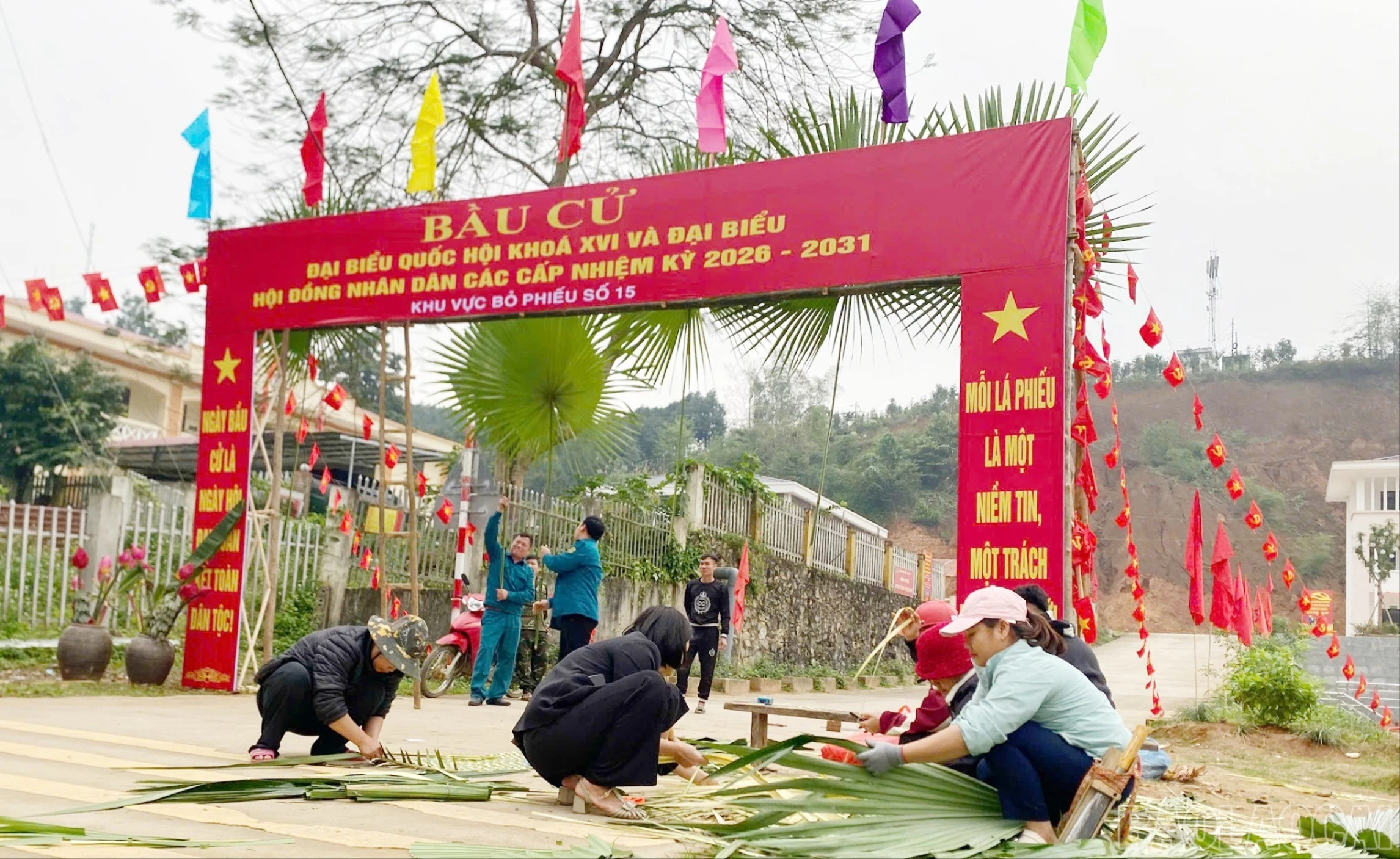 baolaocai-br-c-6.jpg