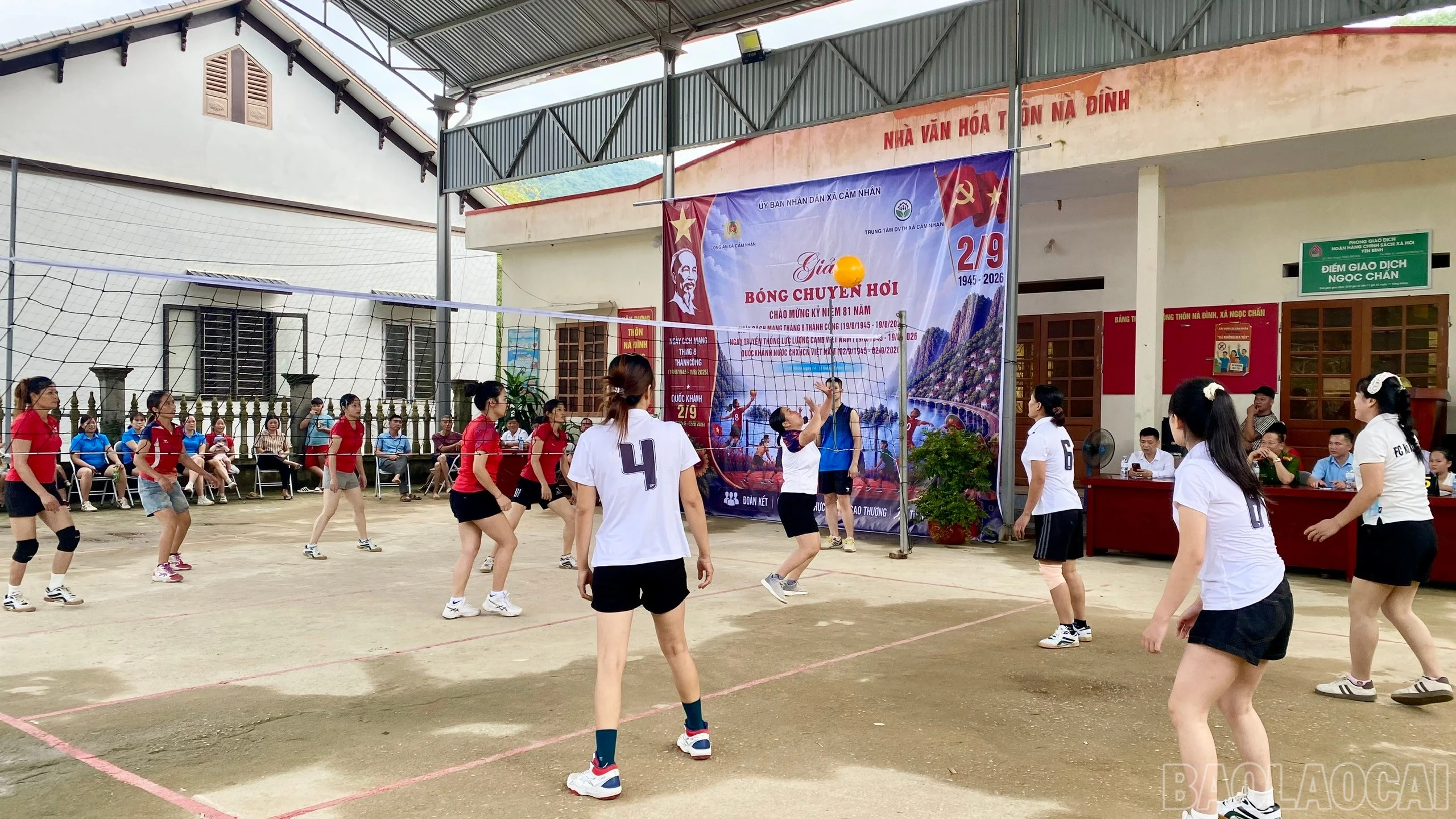baolaocai-br_4-2.jpg