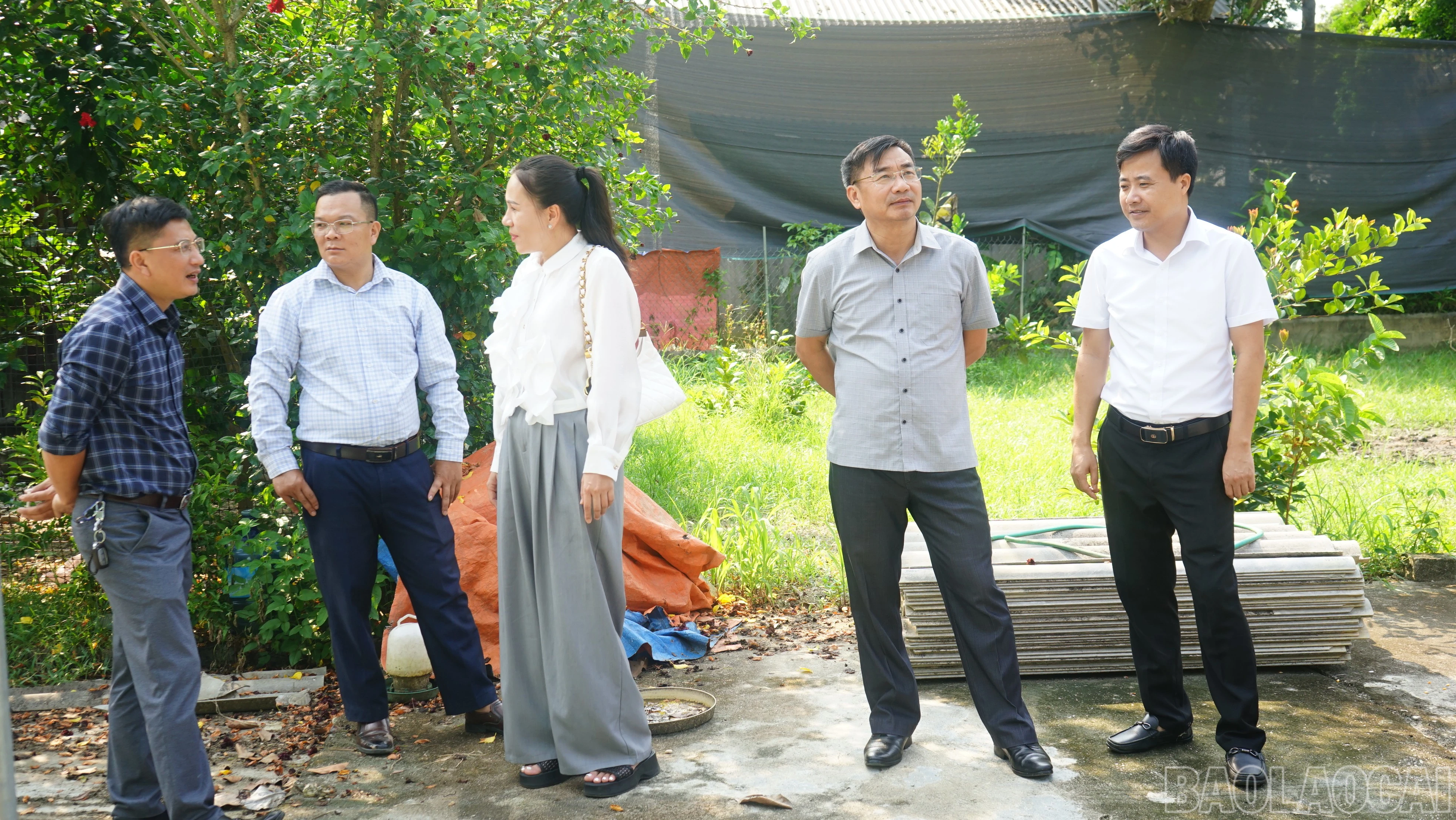 baolaocai-br_khaosat2-3-2.jpg
