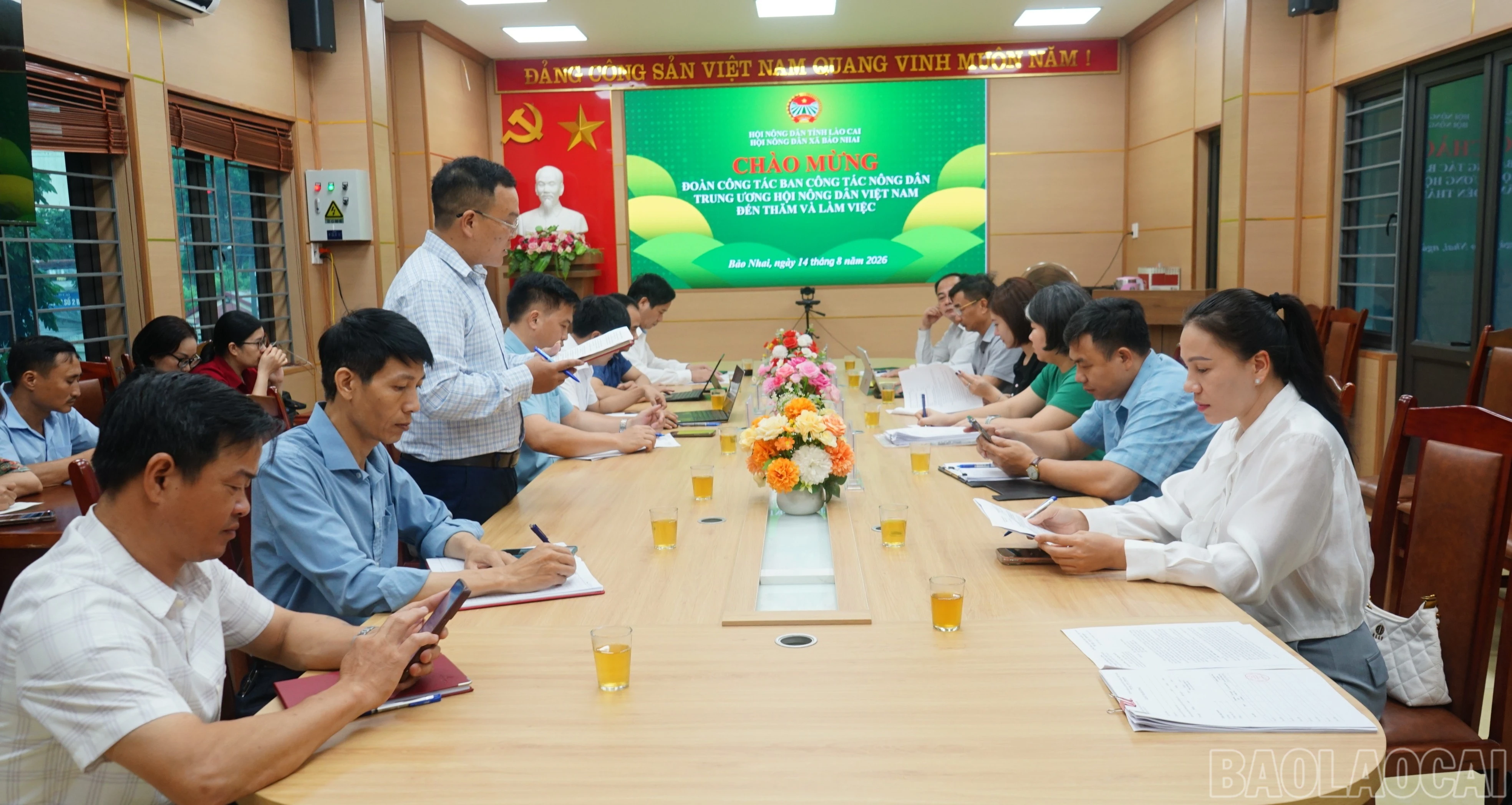 baolaocai-br_quangcanhbn-3553.jpg