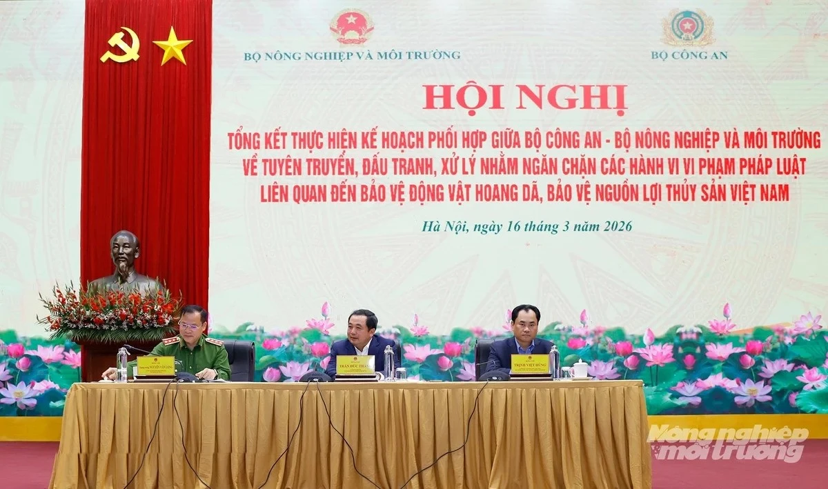 mt1.jpg
