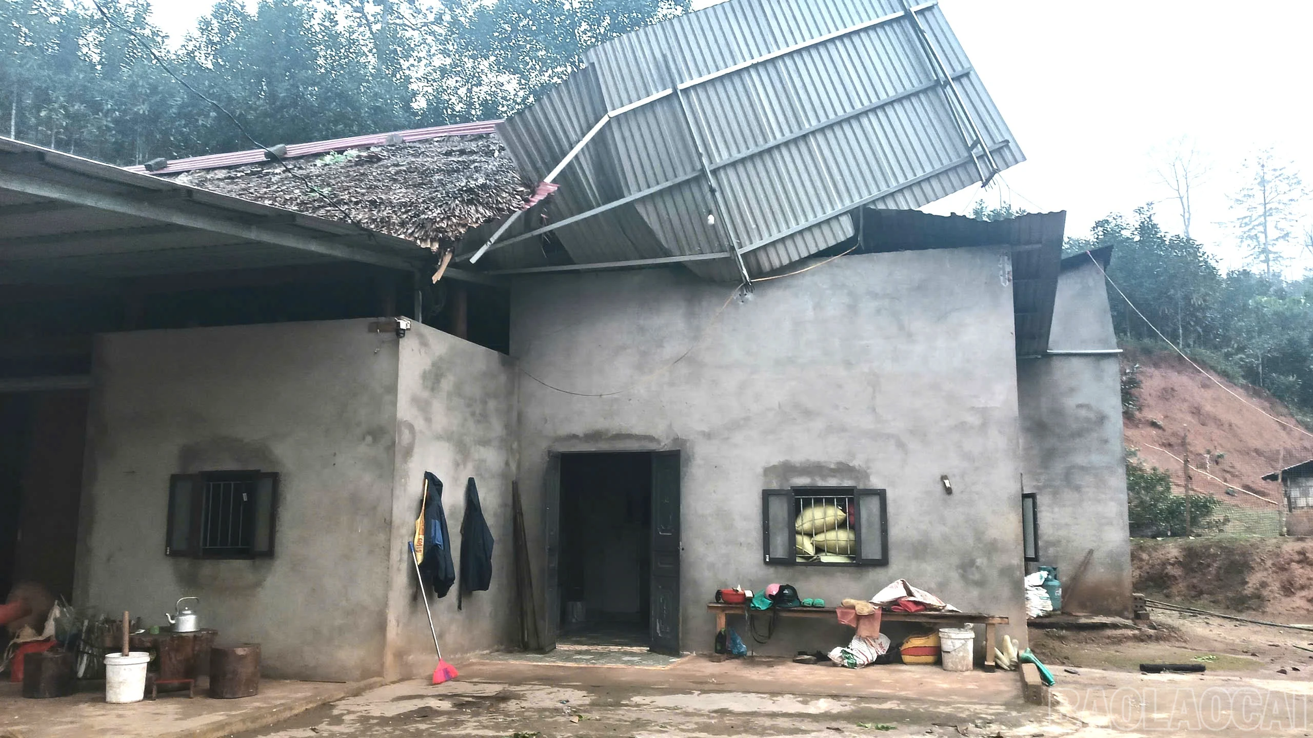 baolaocai-br_z7671632428973-829f819e9890b8711a9799b0f7b7b372-2759.jpg