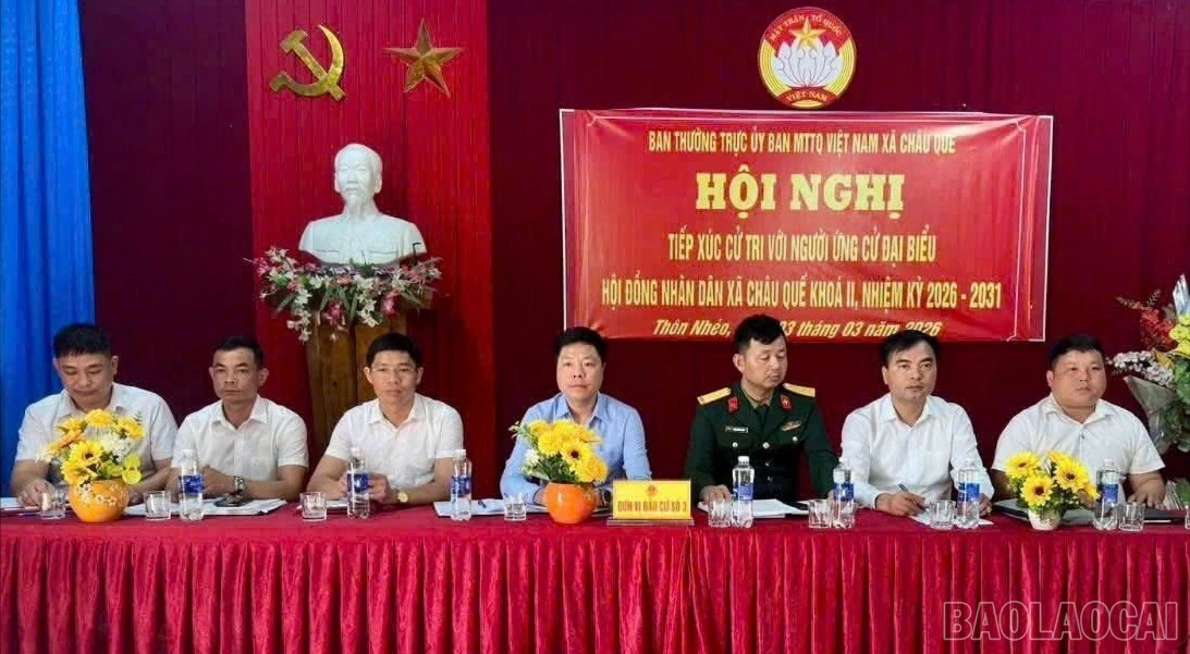 baolaocai-br-z7583743127284-c0f21fdc930d2056928d7ab13b3a90bf.jpg