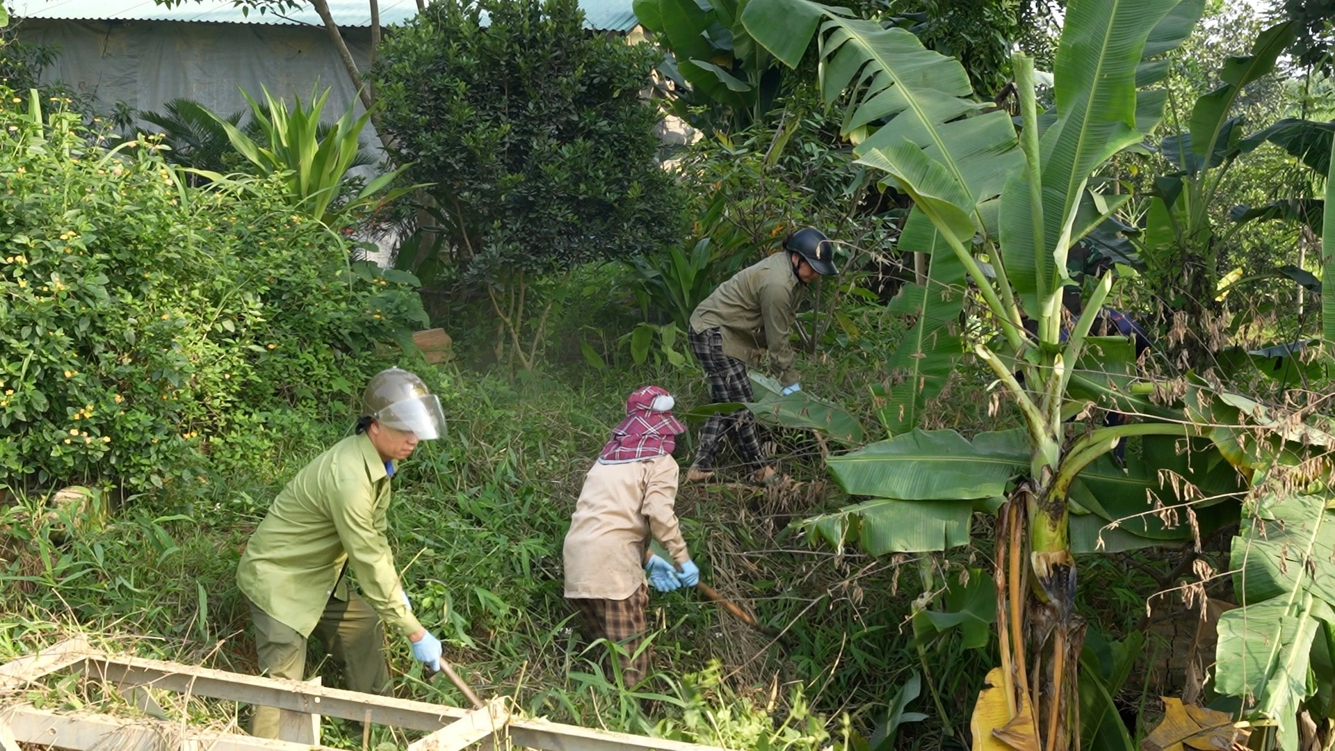 dongchay-2.jpg