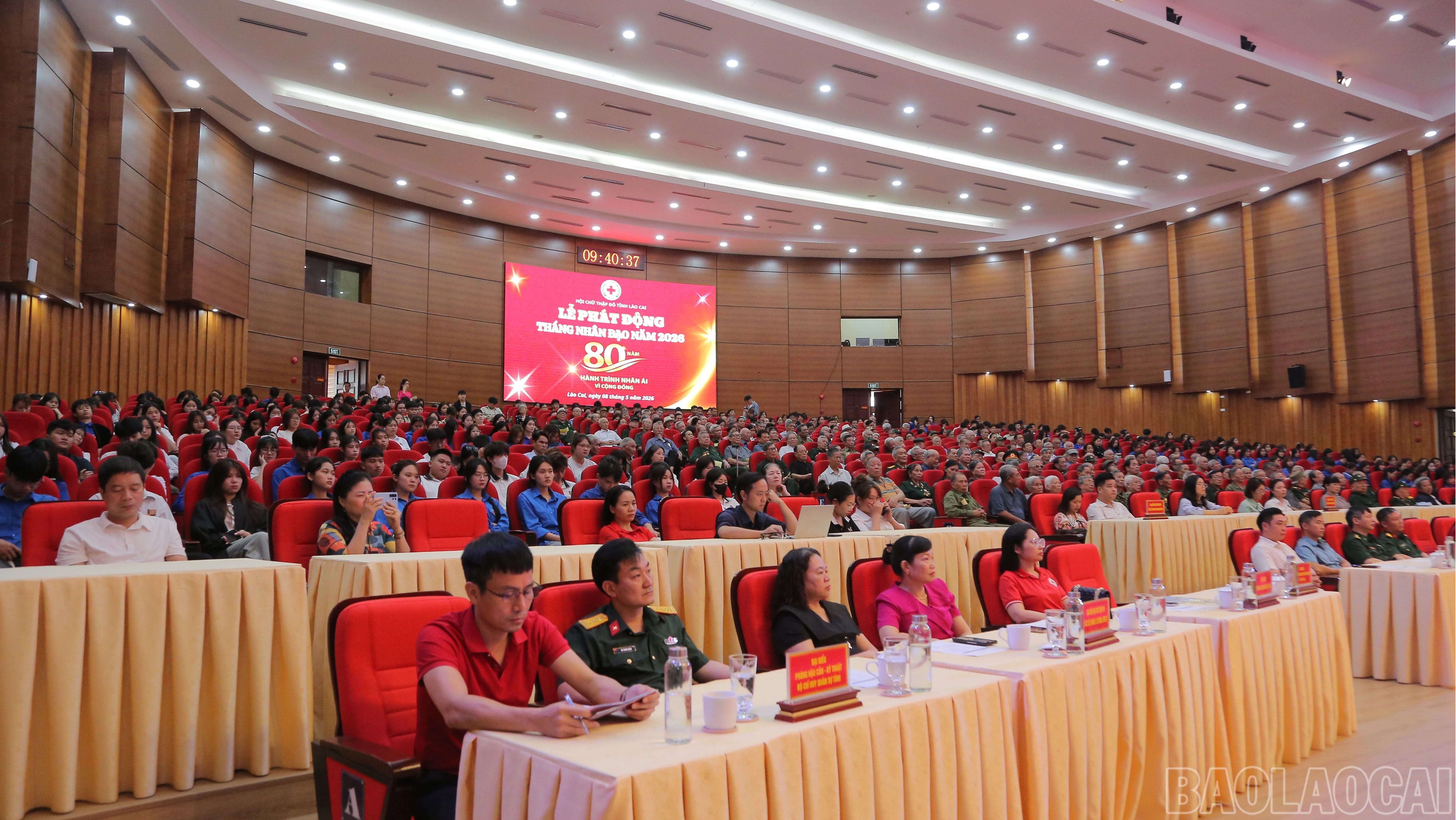 baolaocai-br_br-cici7430.jpg