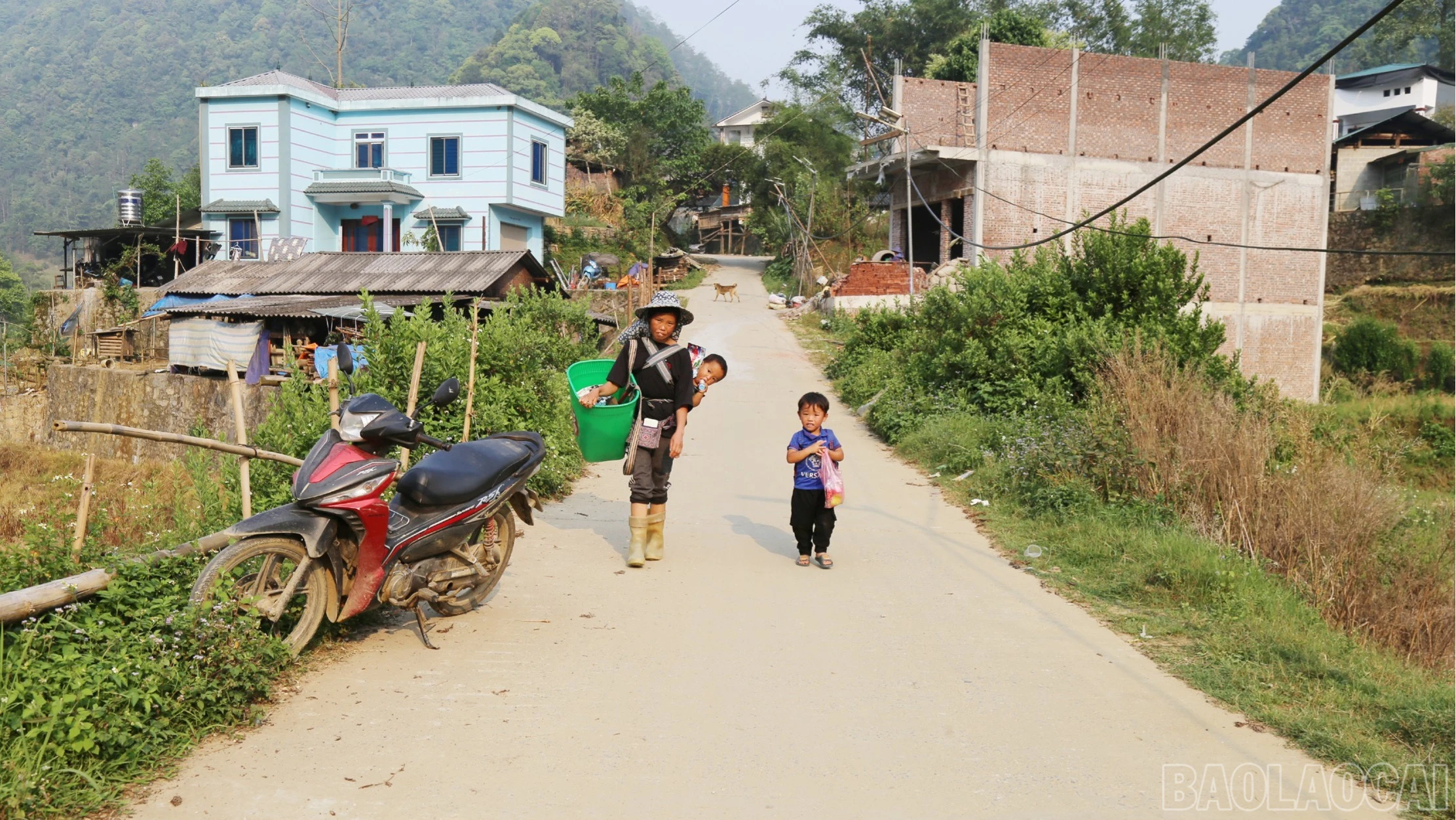 baolaocai-br_br-p6.jpg