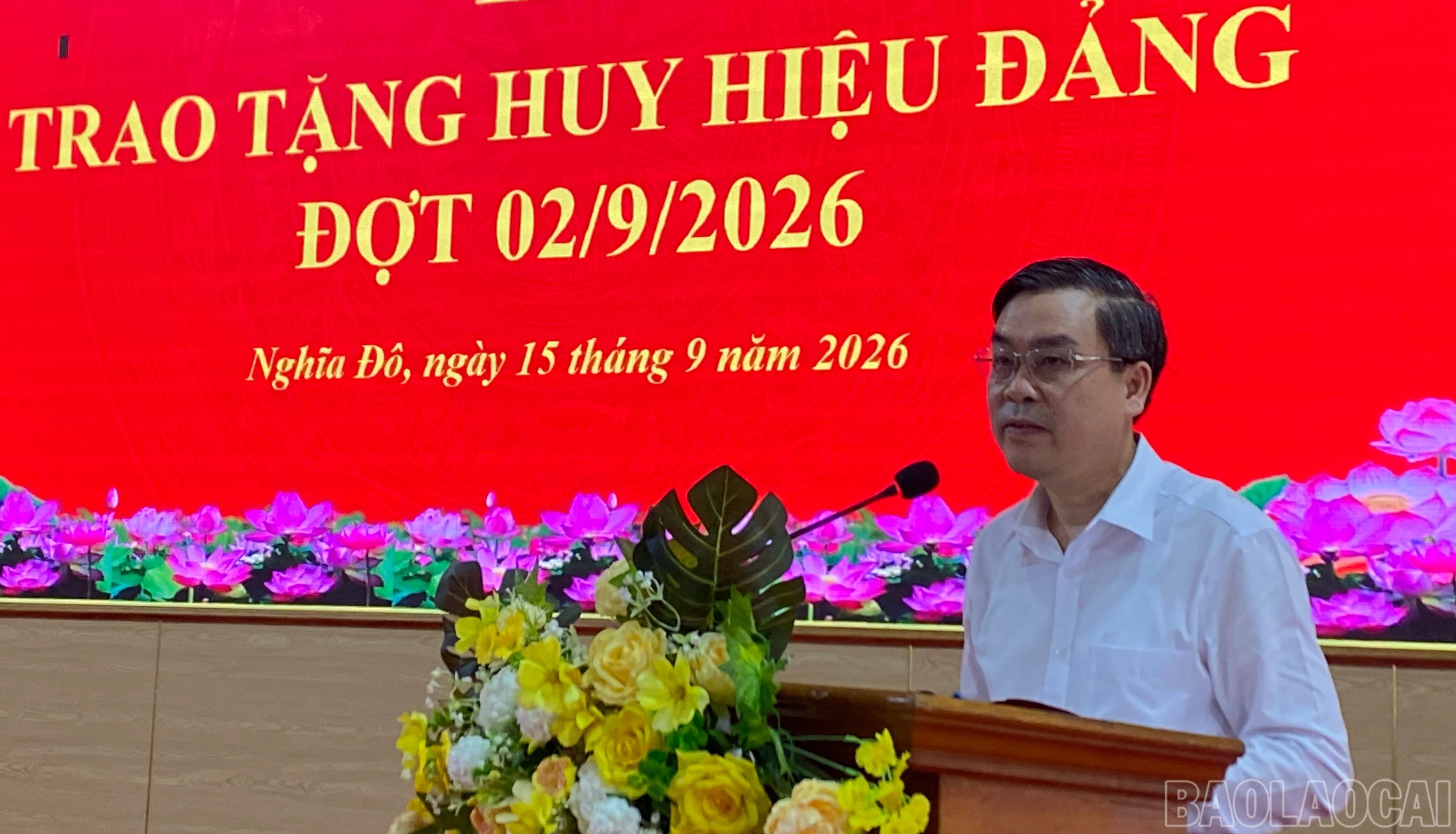 baolaocai-br_dctuan-2453.jpg