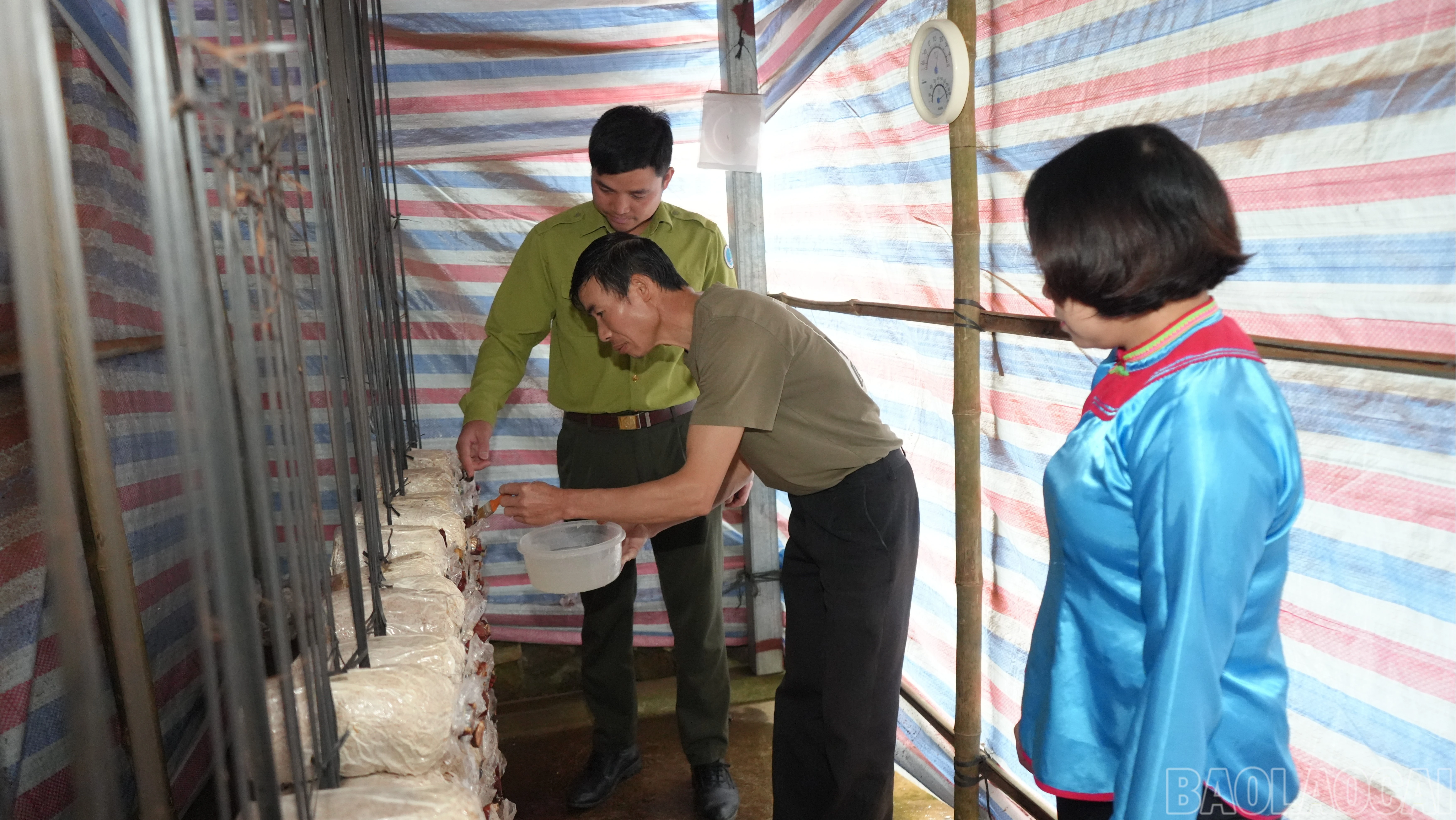 baolaocai-br_huongdan-3742.jpg