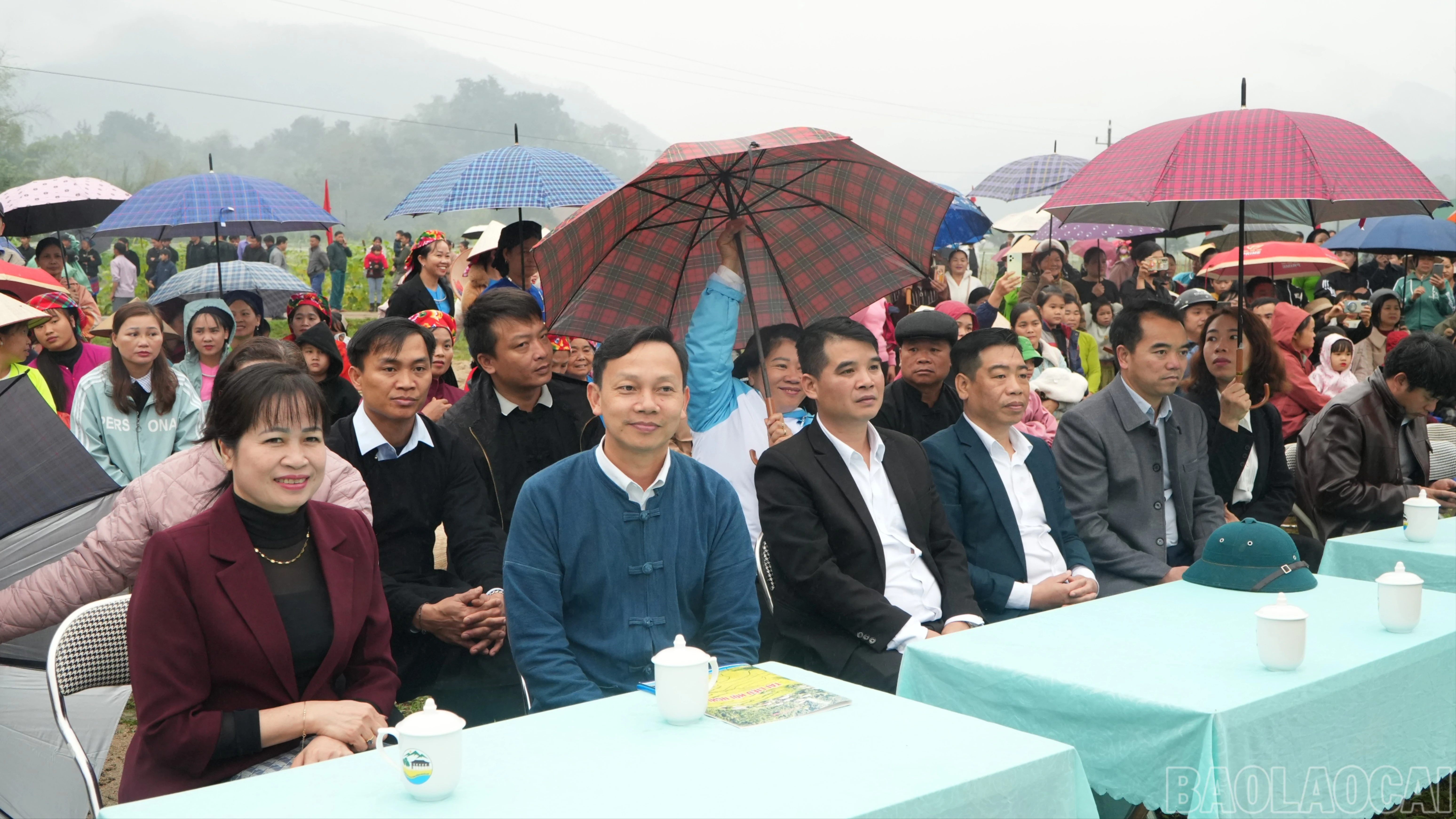 baolaocai-br_br-daibieu-2.jpg