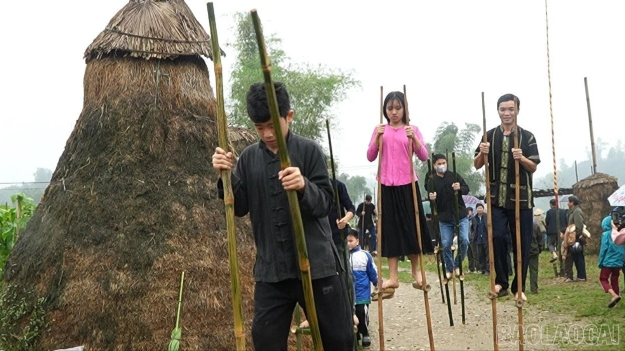 baolaocai-br-thi-2.jpg
