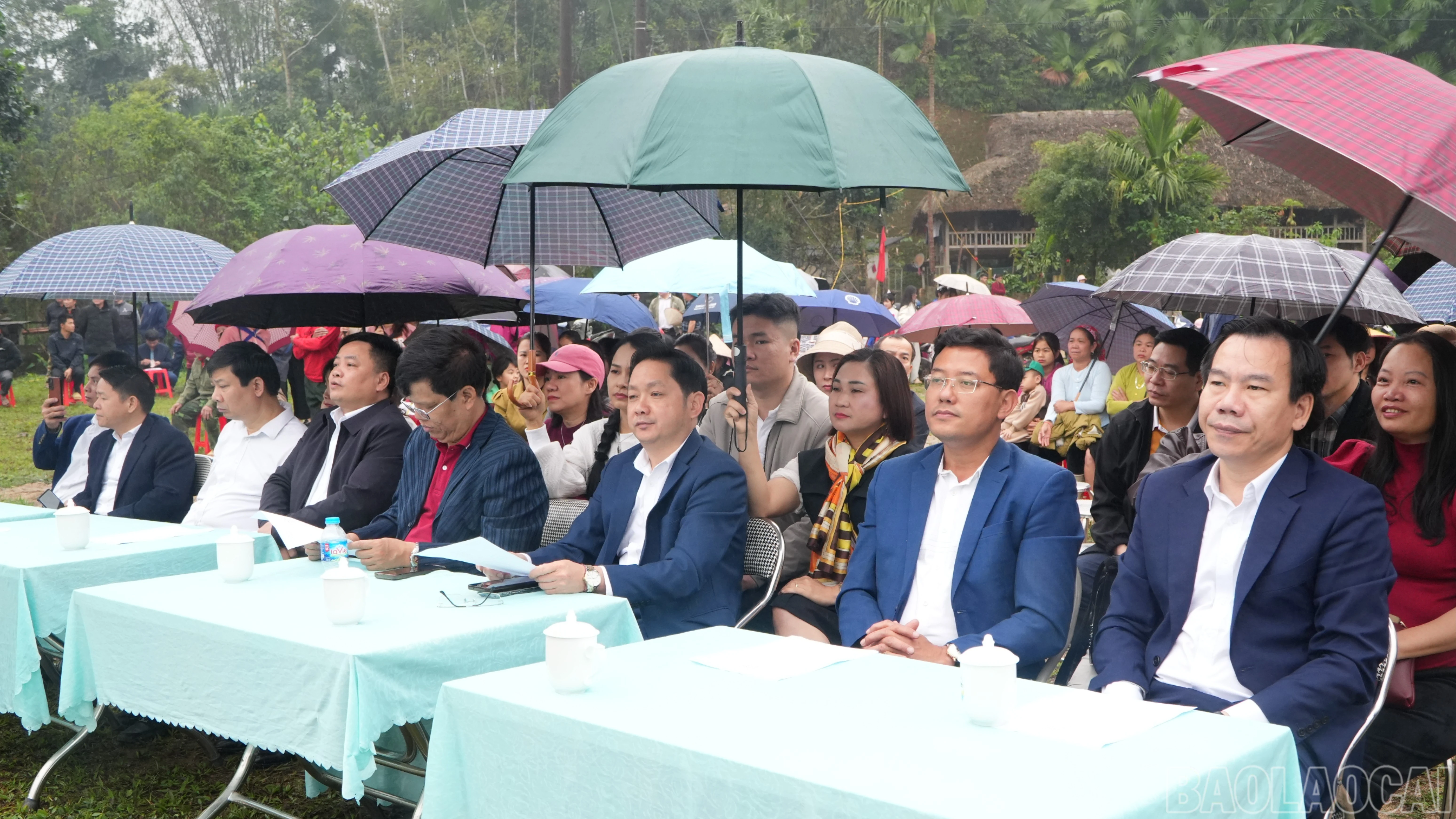 baolaocai-br_daibieu-1-7246.jpg