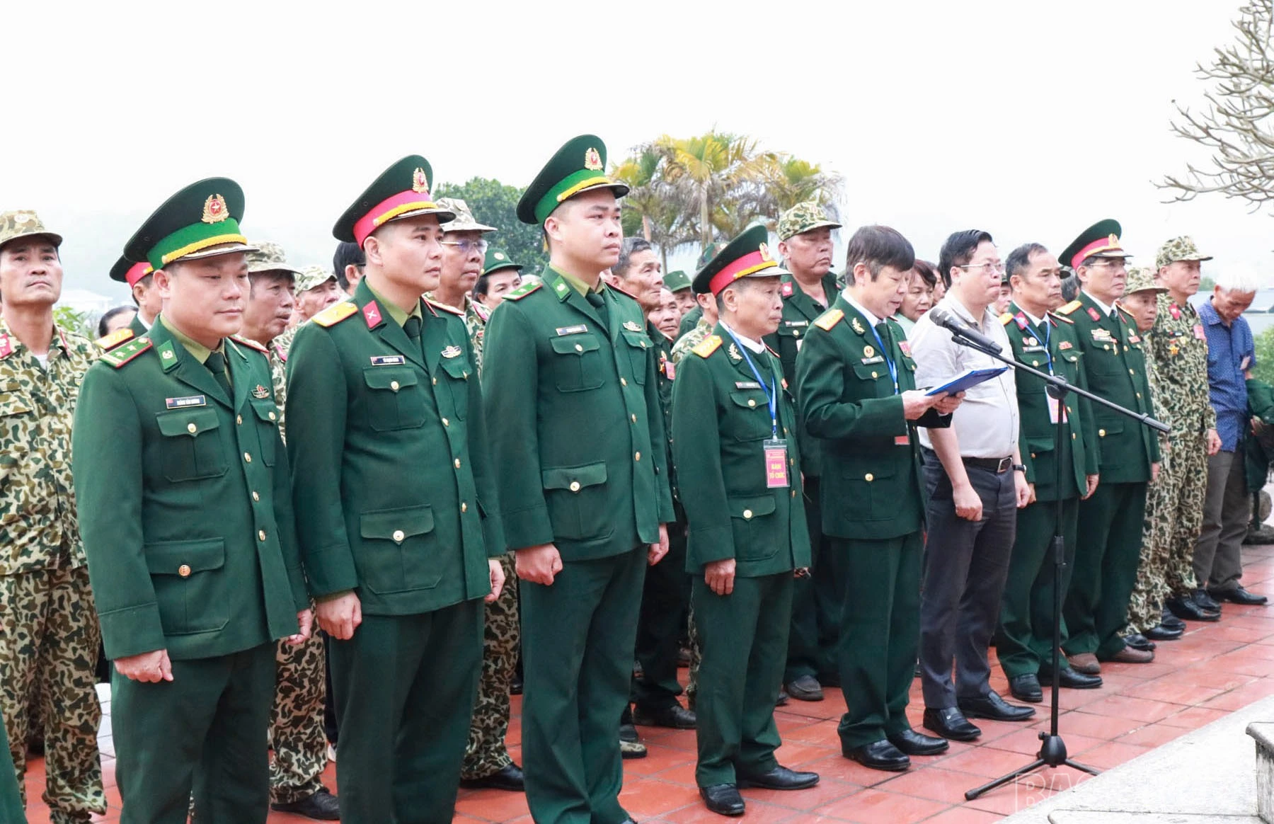 baolaocai-br_danghuong-1.jpg