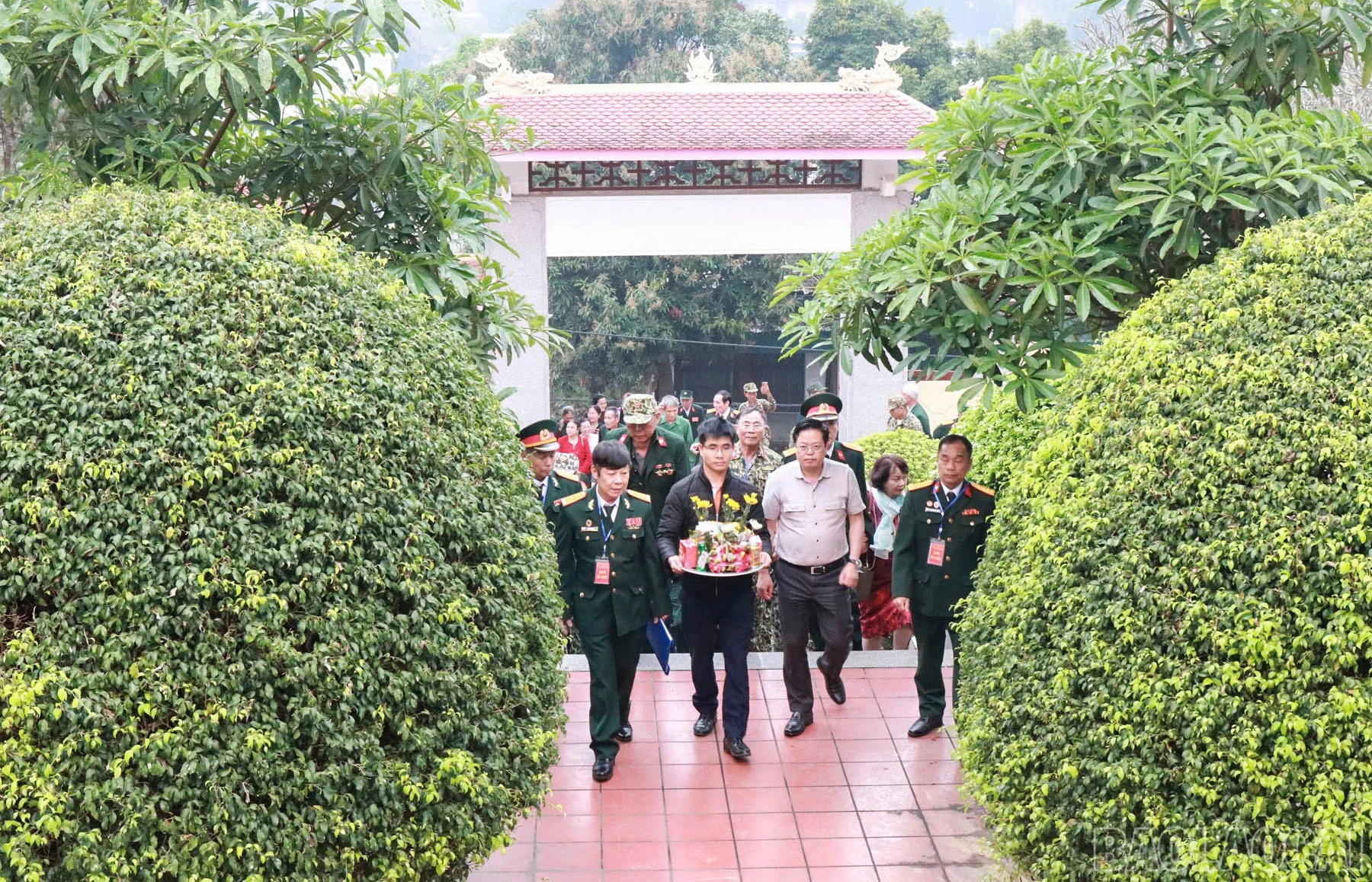 baolaocai-br_danghuong-2.jpg