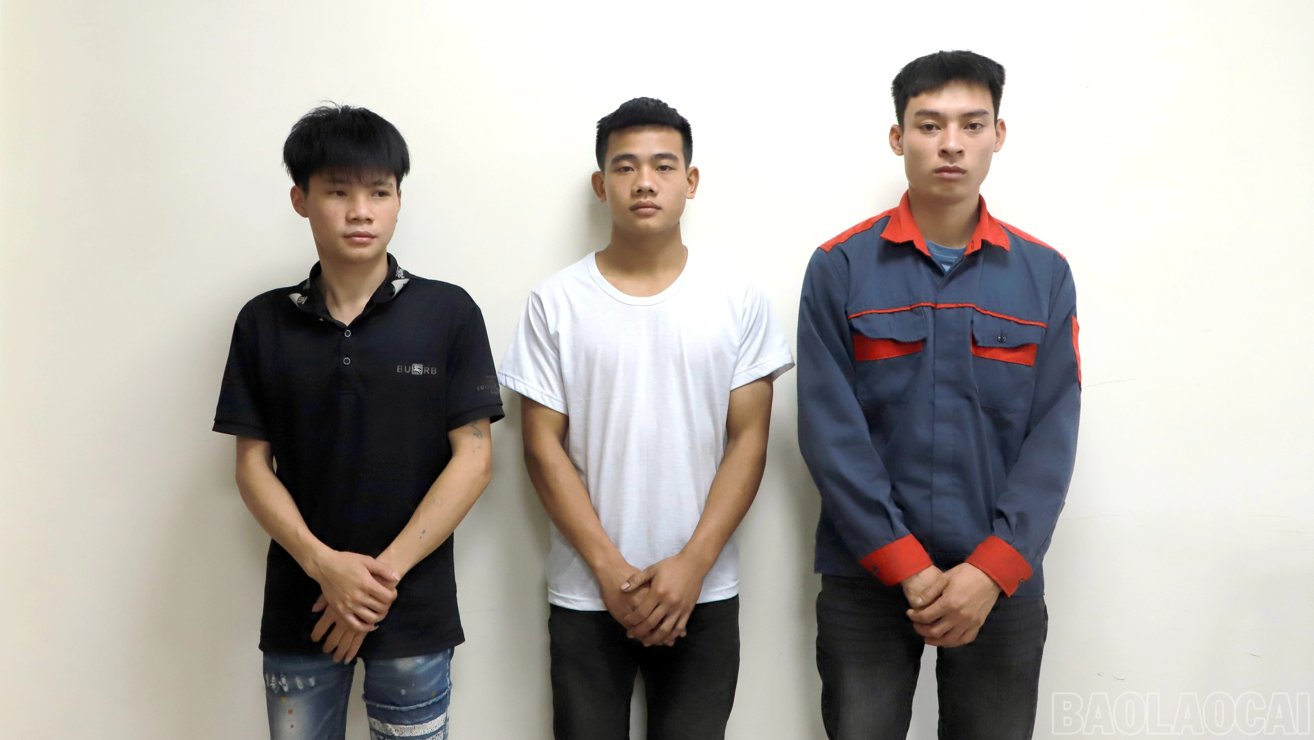baolaocai-br_anh-1-2818.jpg
