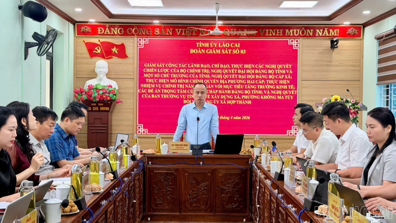 baolaocai-br_lc2-8514.jpg