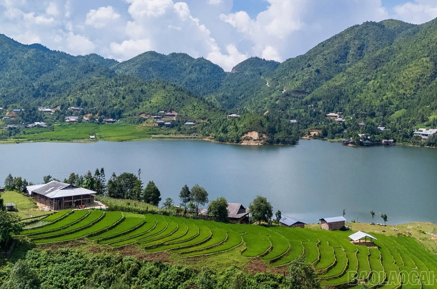 baolaocai-br_xanhtrong.jpg
