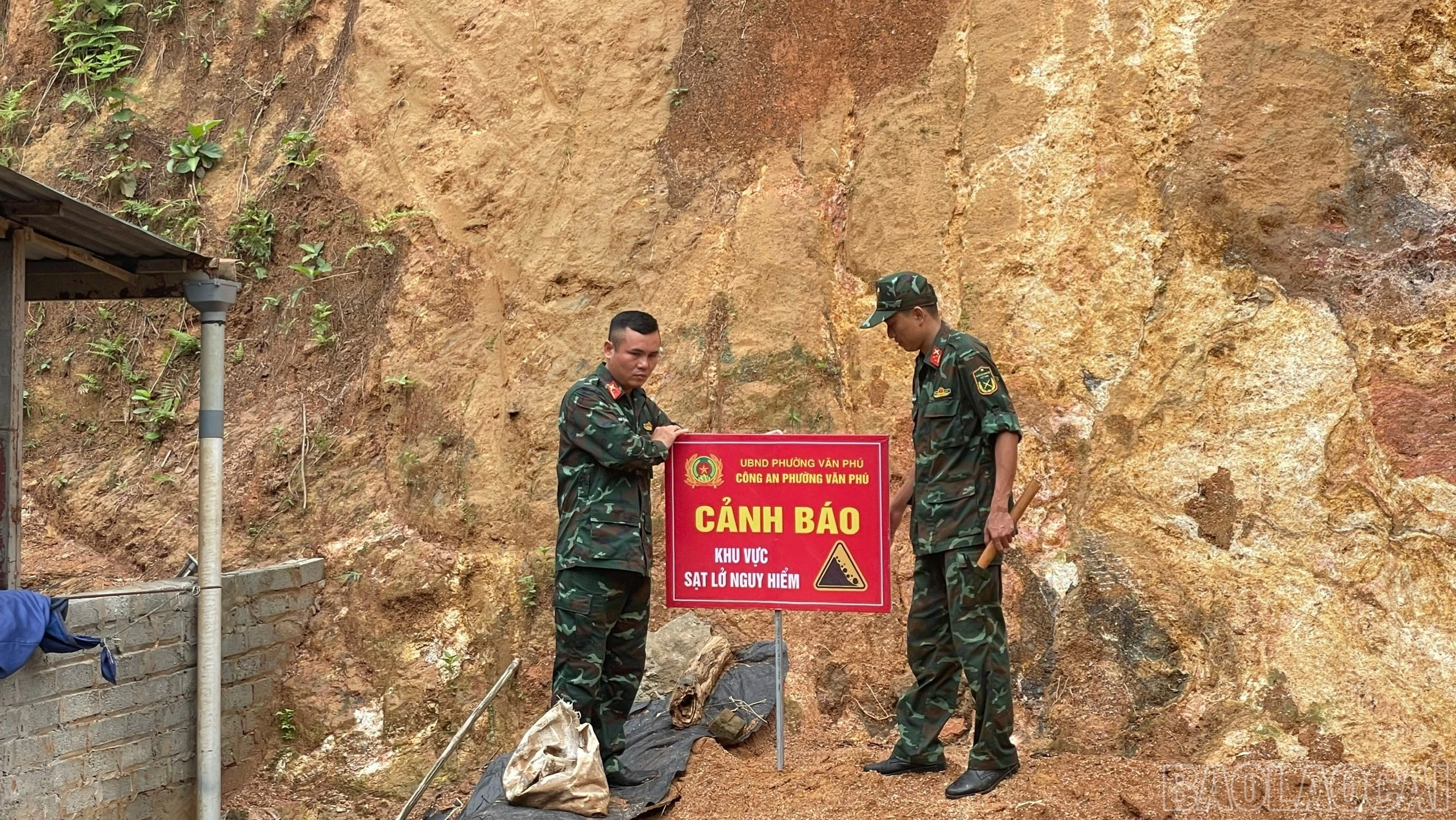 baolaocai-br_cambien-4534.jpg