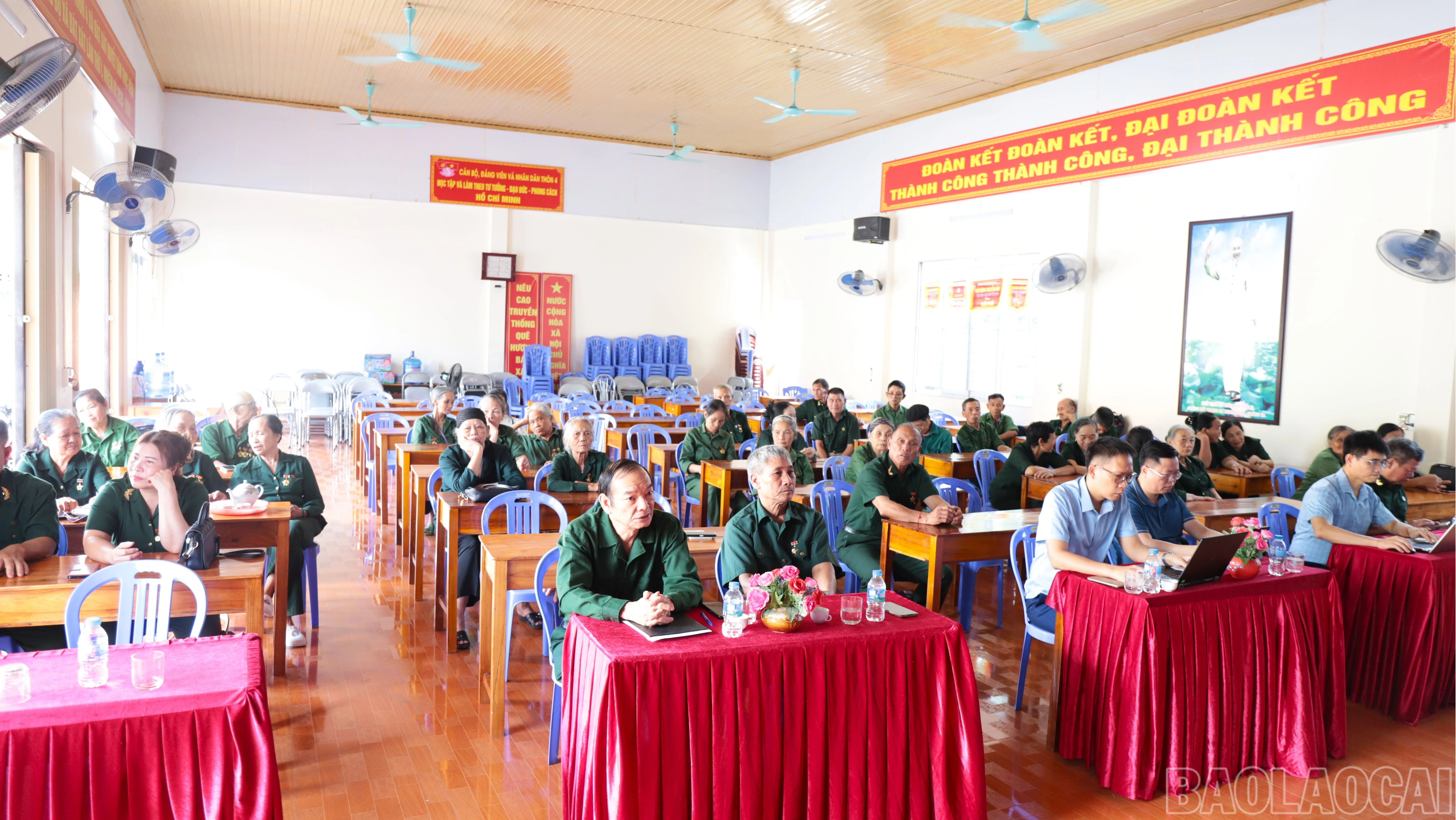 baolaocai-br_2-1-7292.jpg