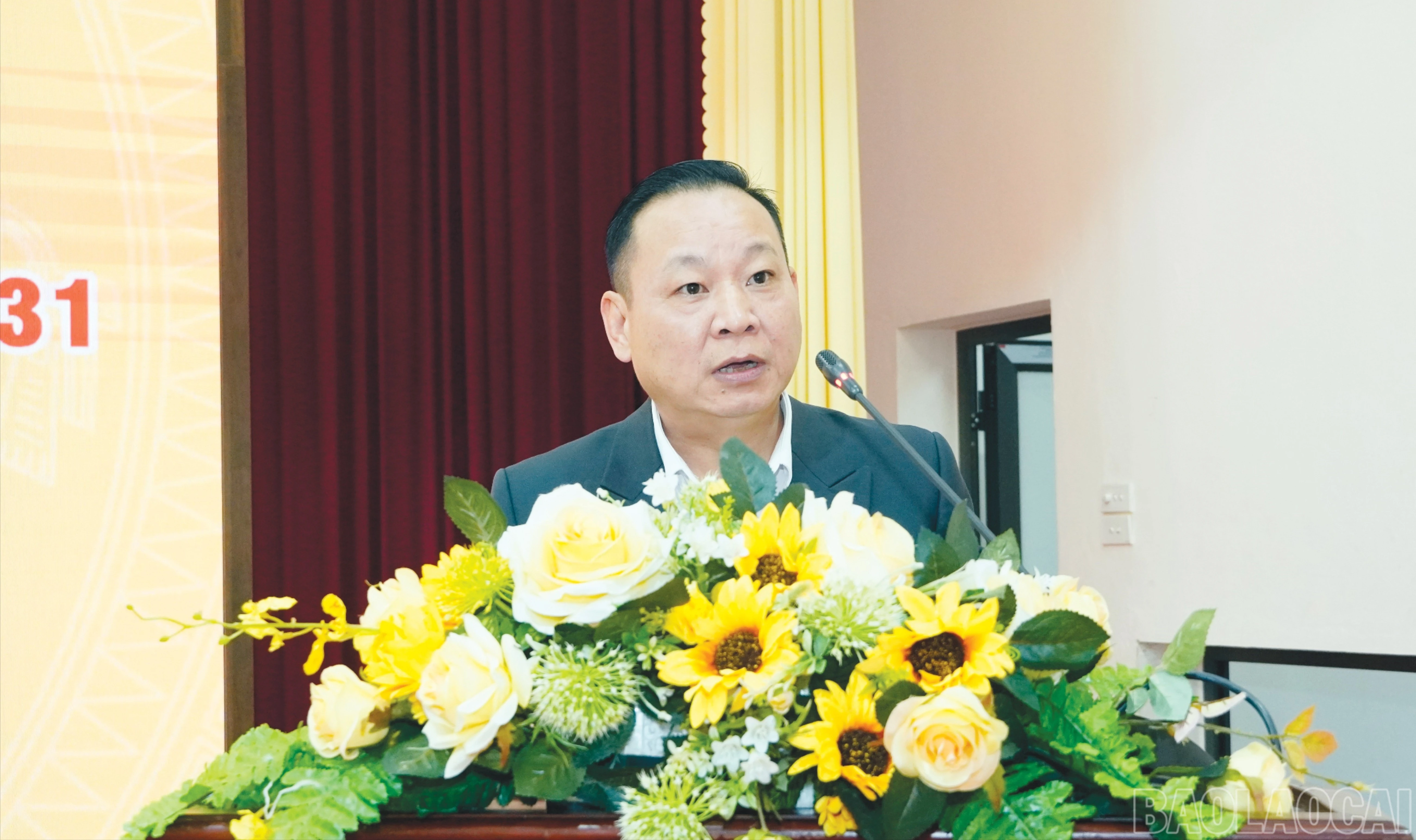 baolaocai-br_br-7.jpg