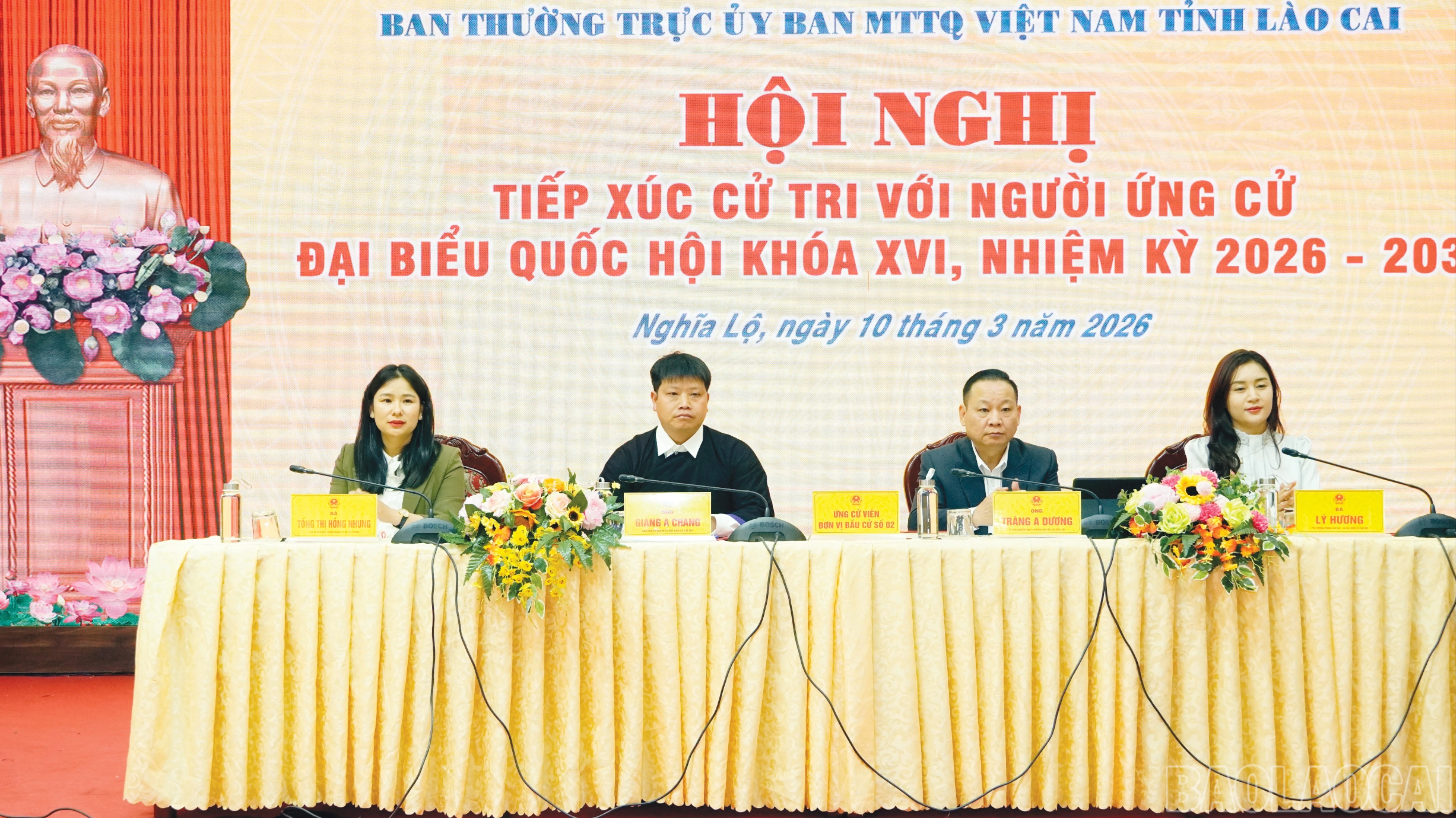baolaocai-br_br-9.jpg